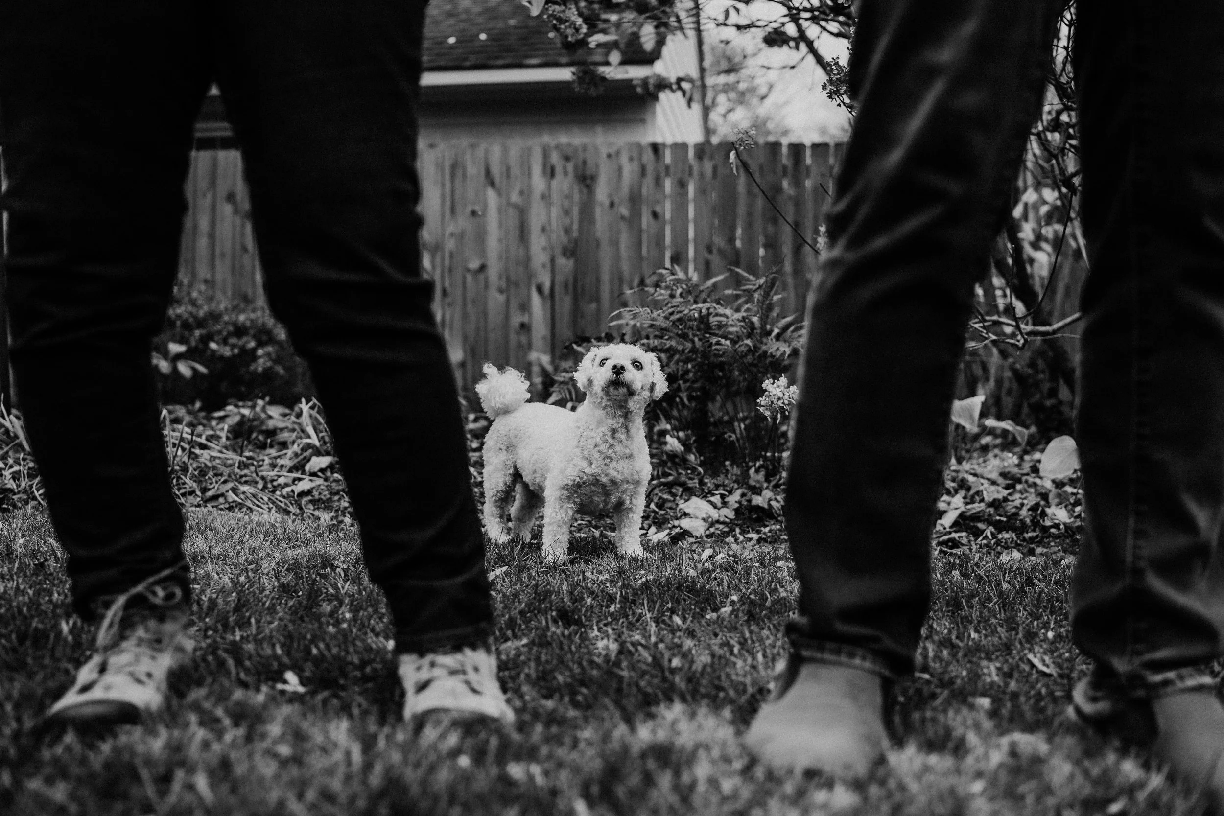 family documentary photography richmond va_0266.jpg