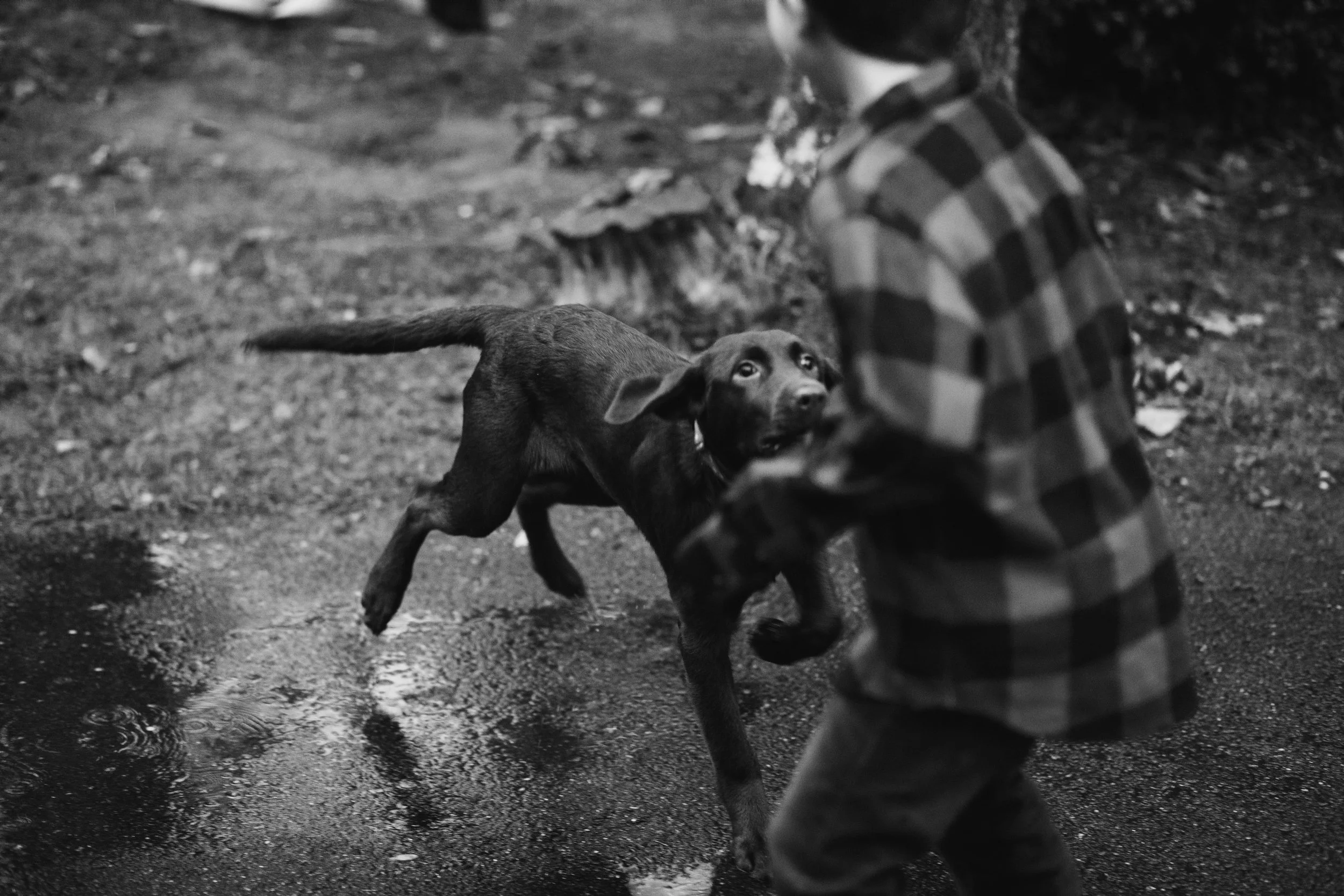 virginia family documentary portrait photographer 0031.jpg