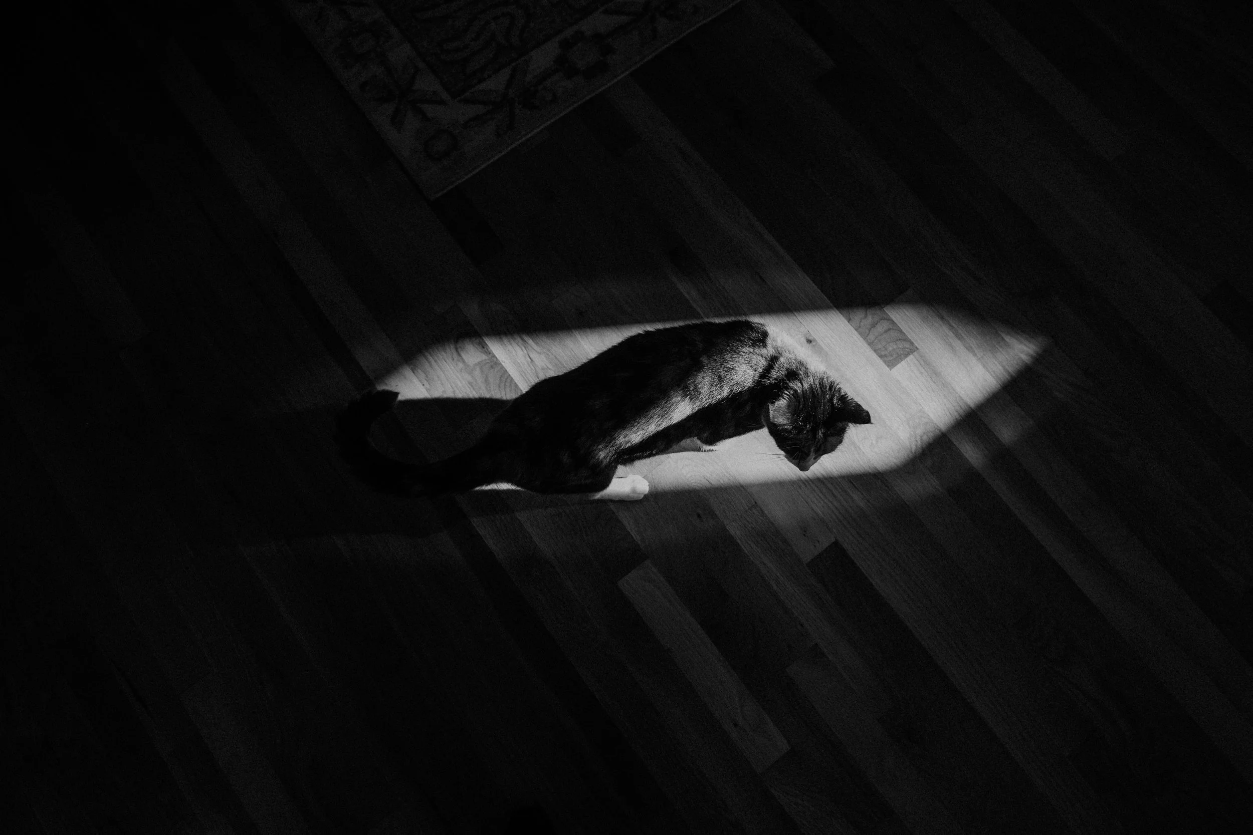 virginia documentary family photography_0114.jpg