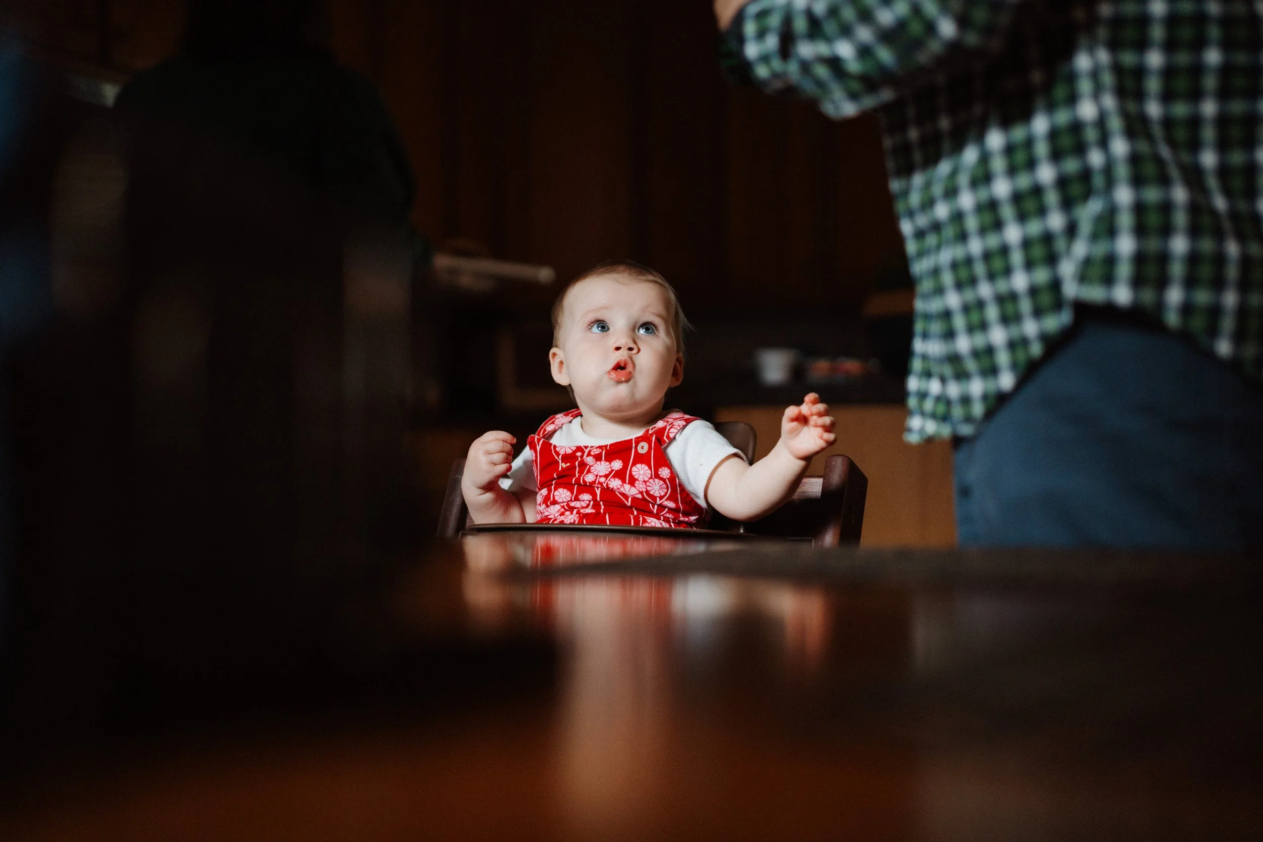 family documentary photographer virginia_0283.jpg