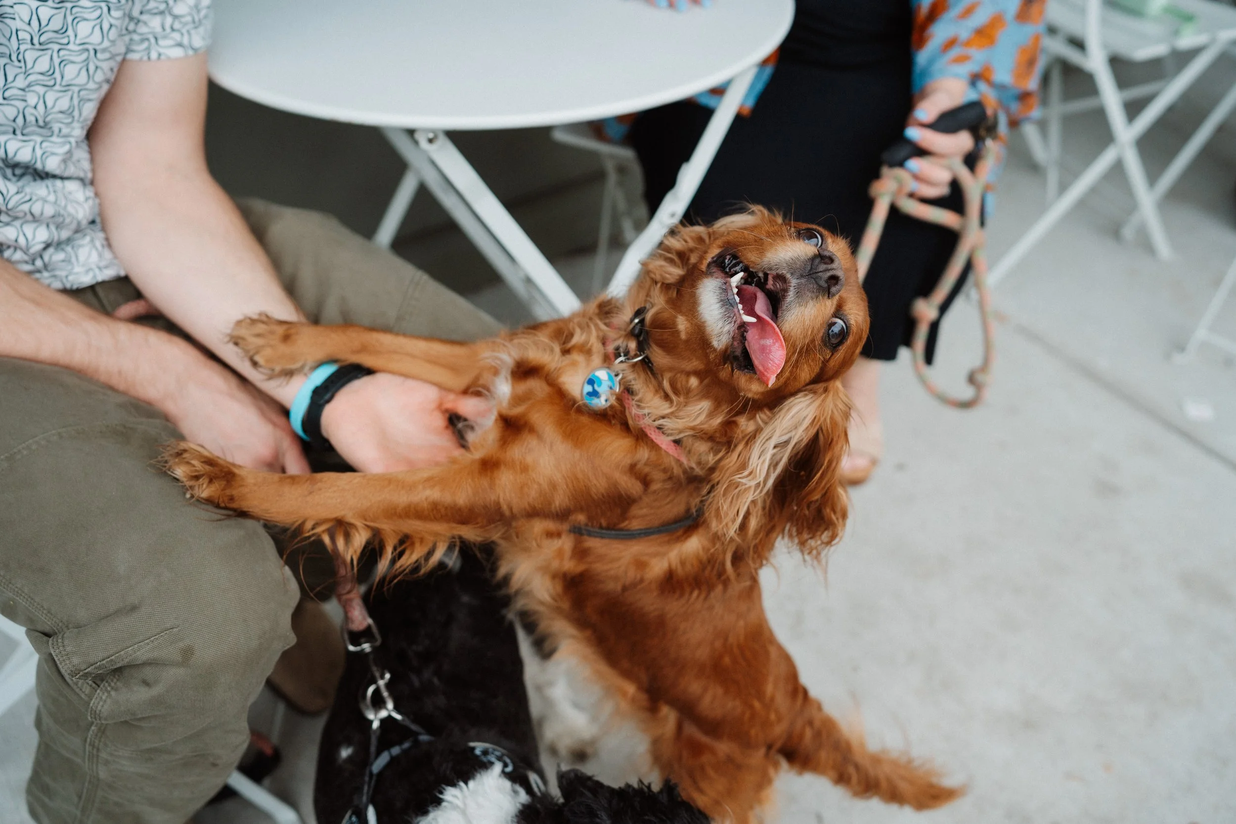 va documentary family photography_0139.jpg