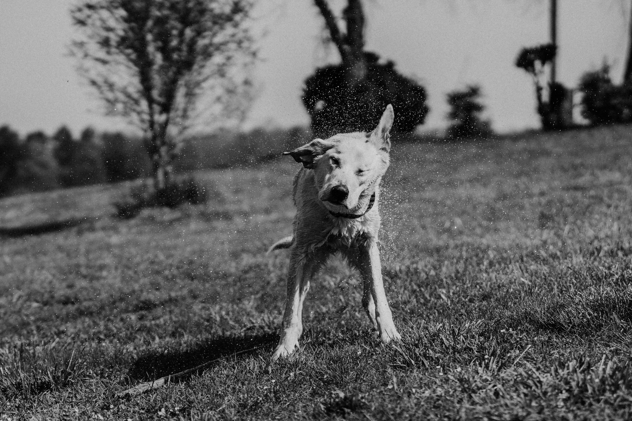 va documentary family photographer_0128.jpg