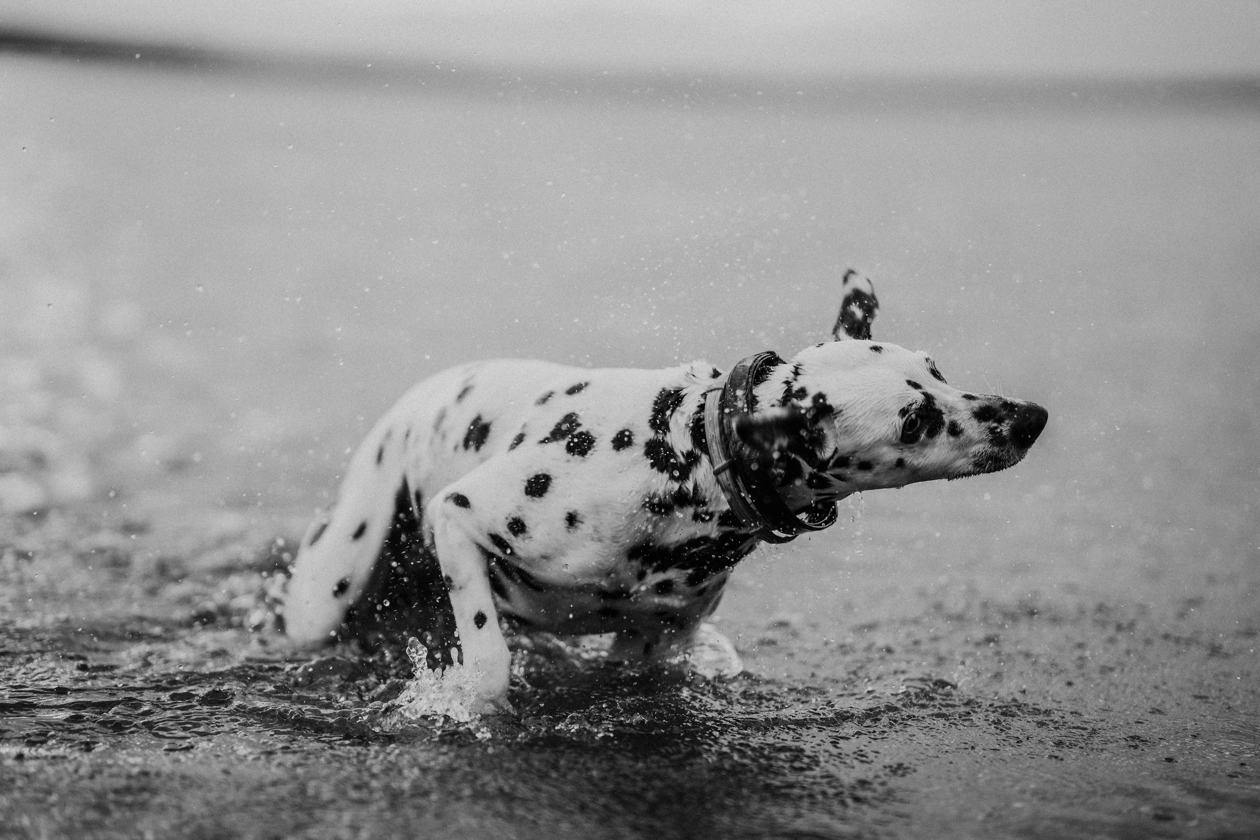 richmond virginia documentary style family photographer_0420.jpg