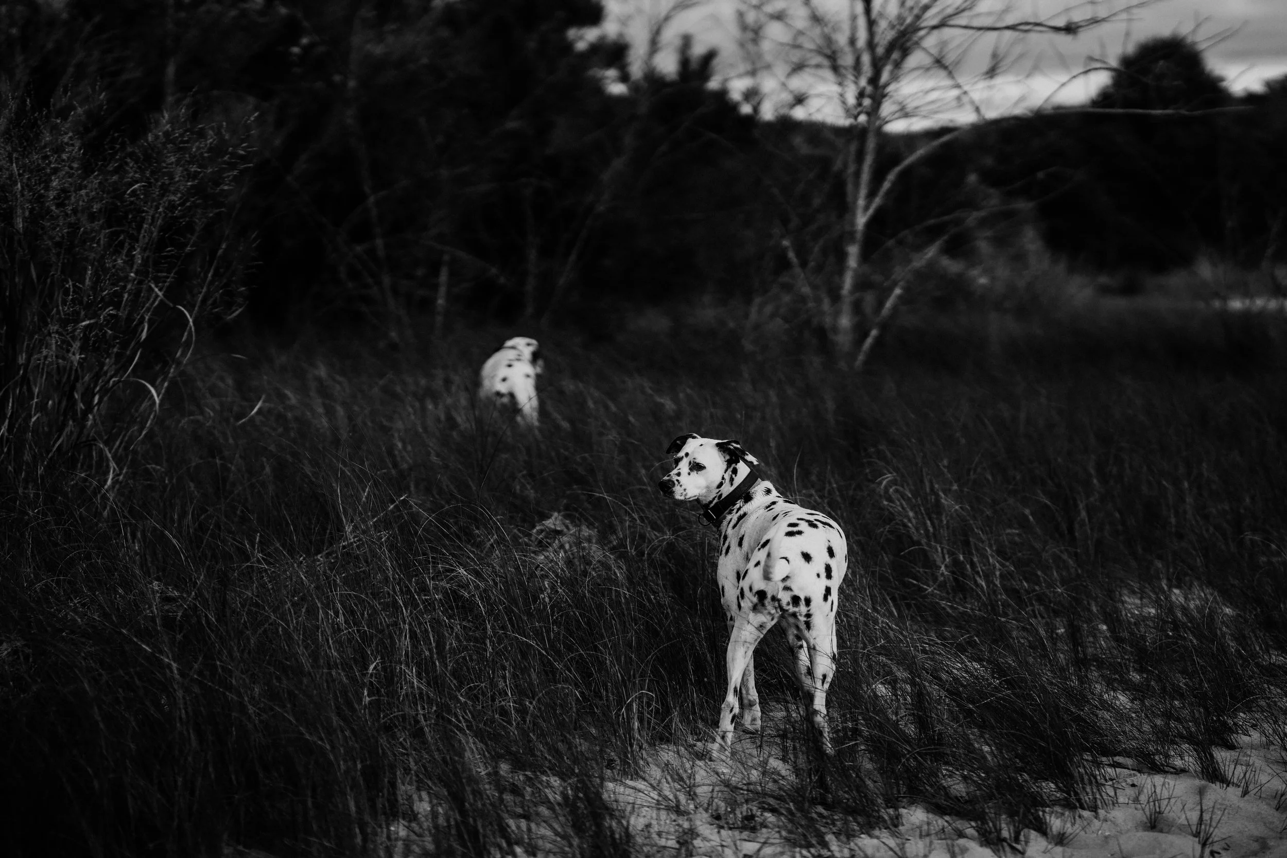 richmond virginia documentary style family photographer_0415.jpg