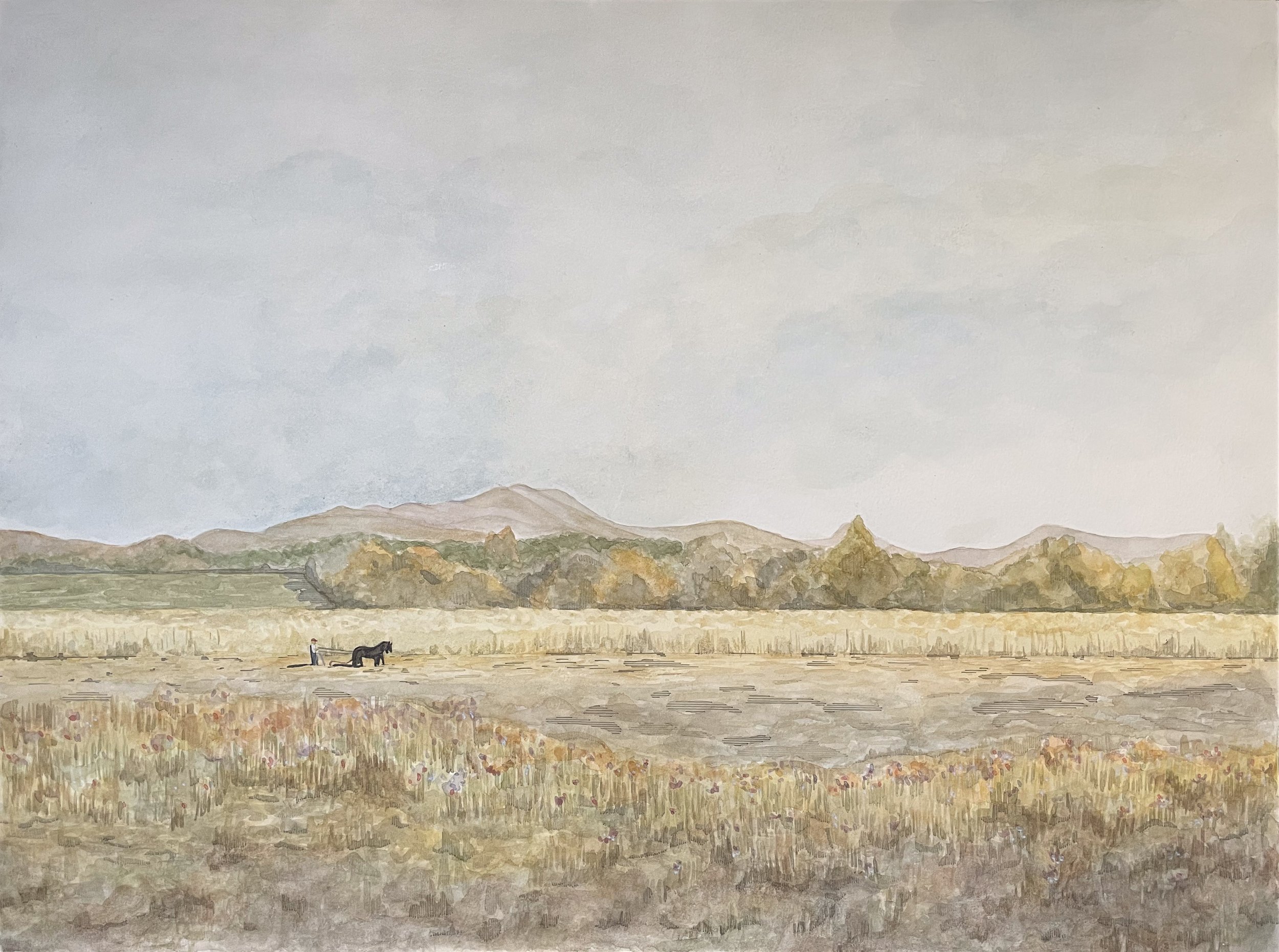 Farmer and Plow.jpg