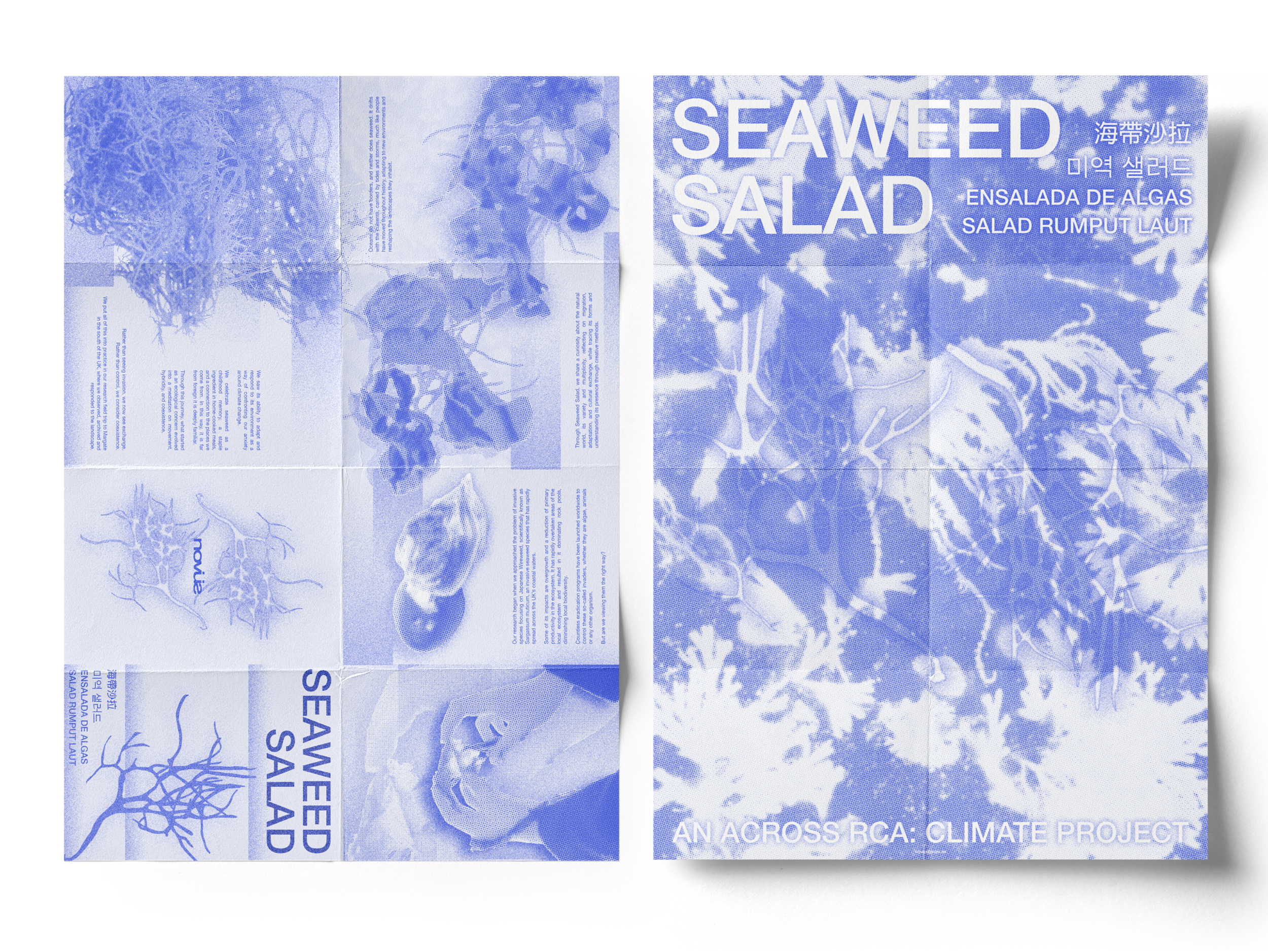 zine_mockup_2.png