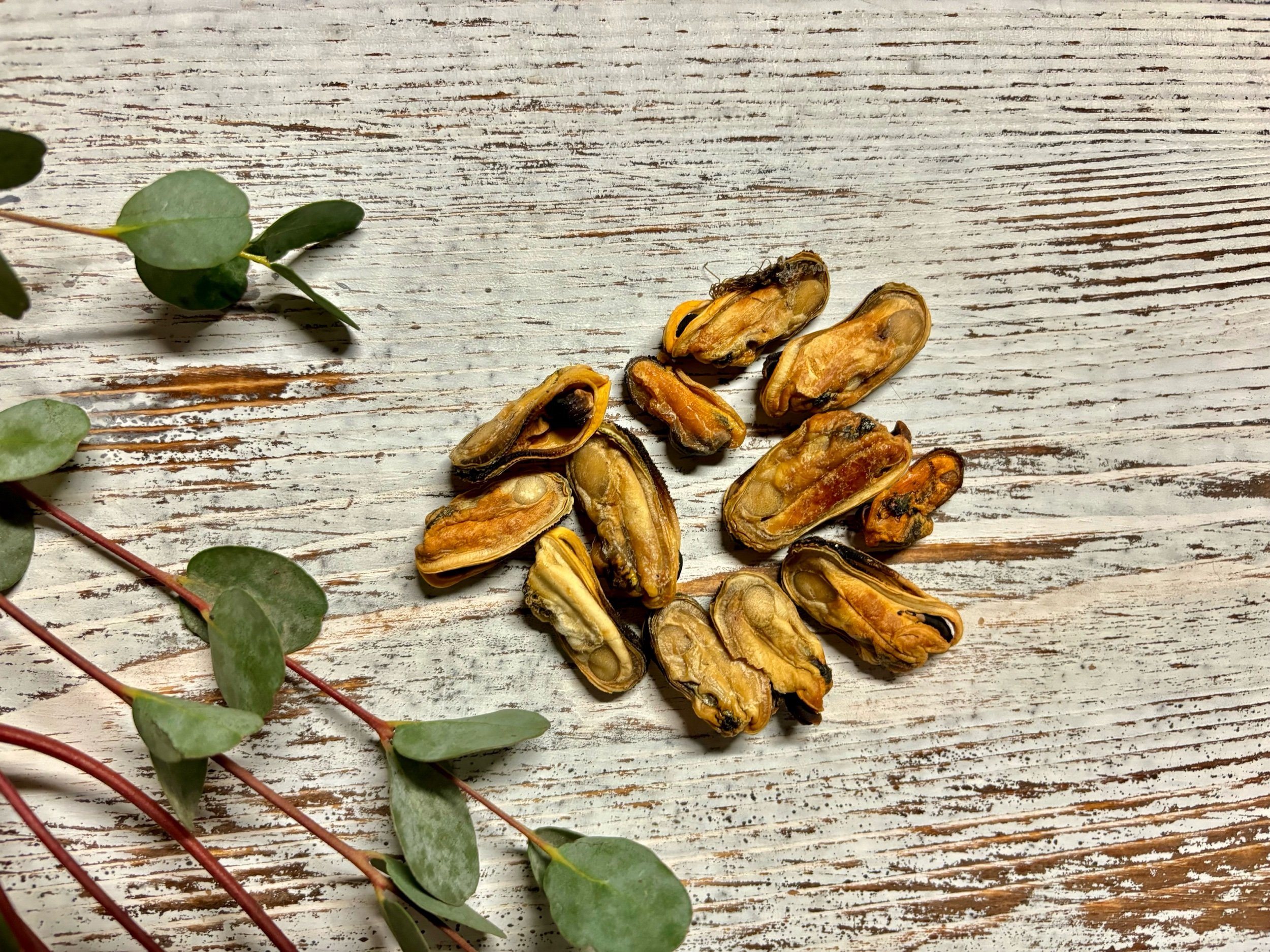 Green Lipped Mussels