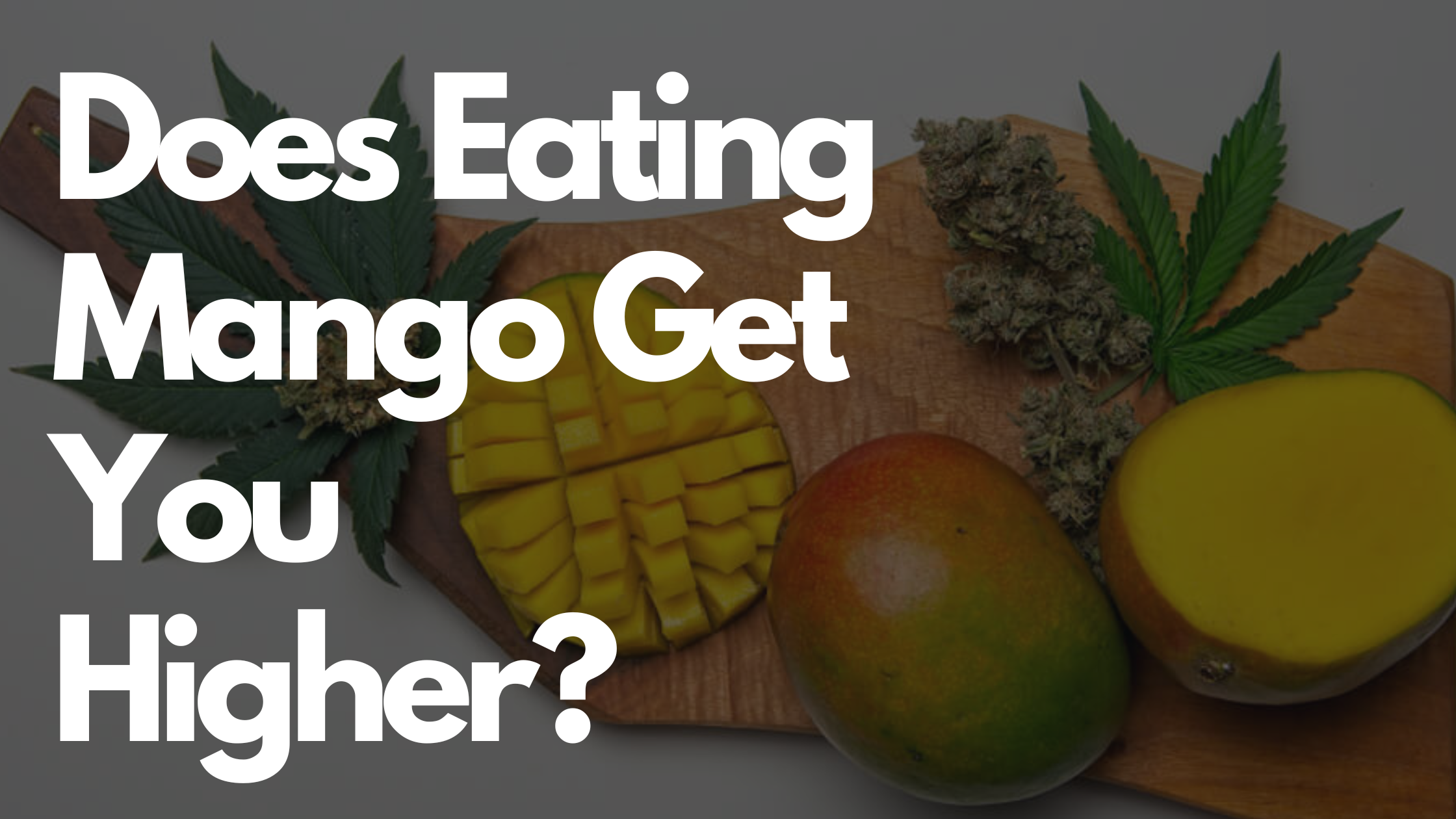 Does Eating Mango Get You Higher? — The Bong Cleaners Mobile Bong