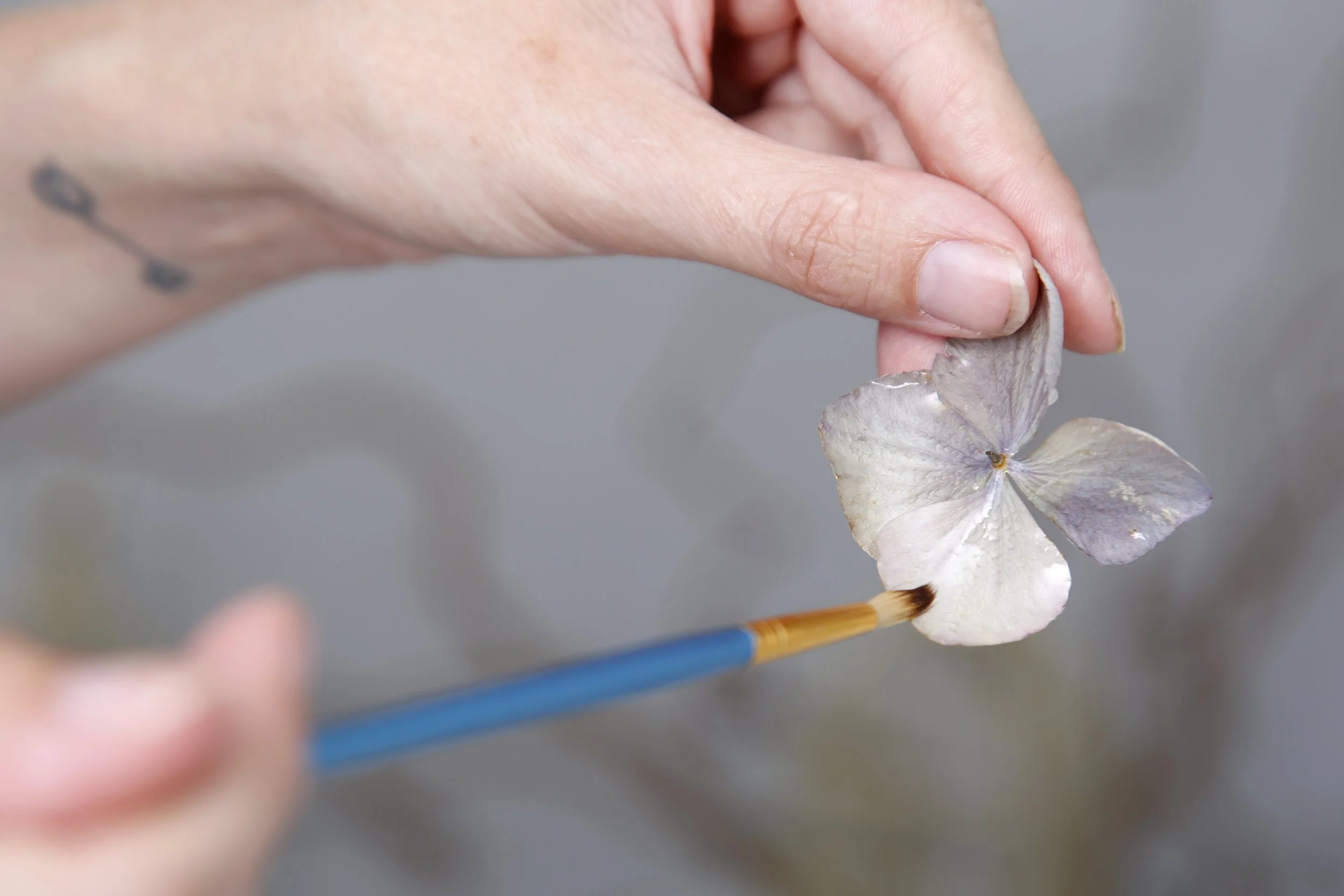 glaçage fleur-melissadiolot - melissa diolot.jpg