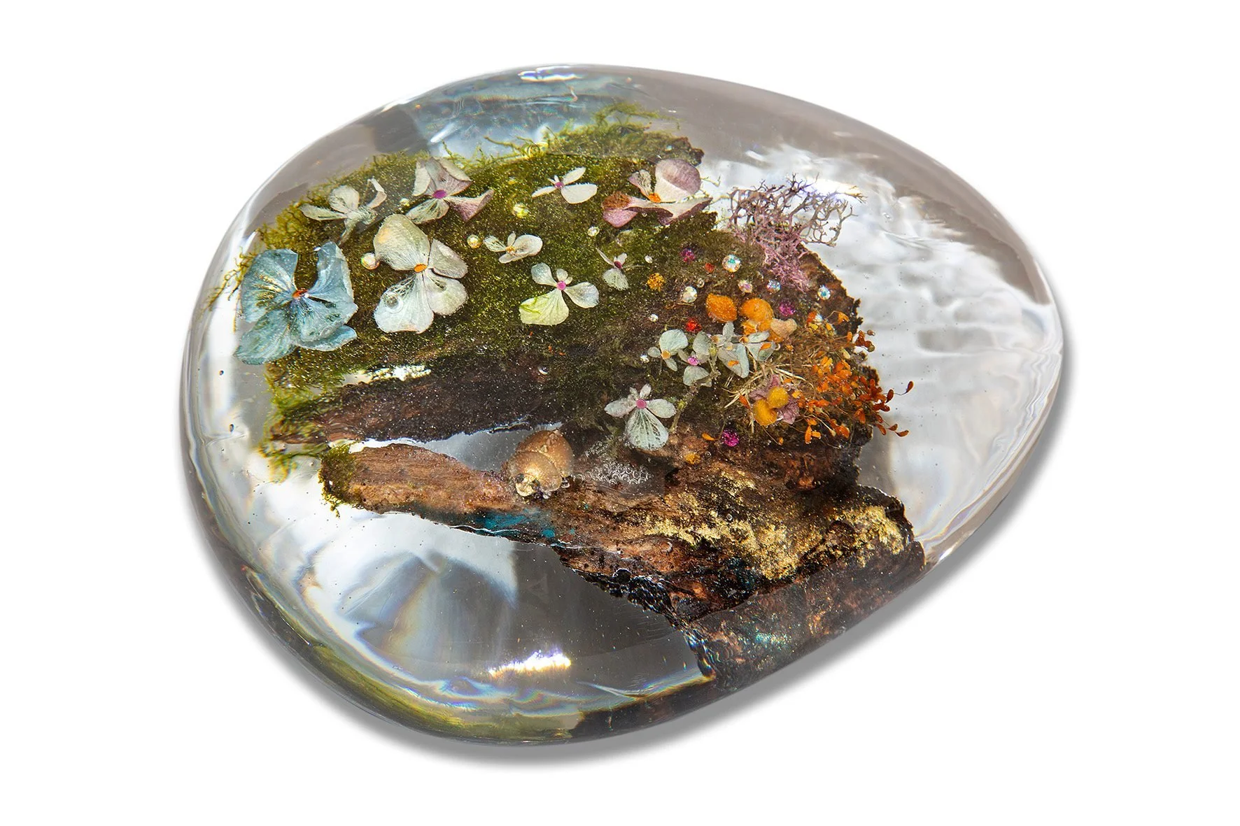 100041206_703293933547235_2201191419467530240_n - melissa diolot.jpg