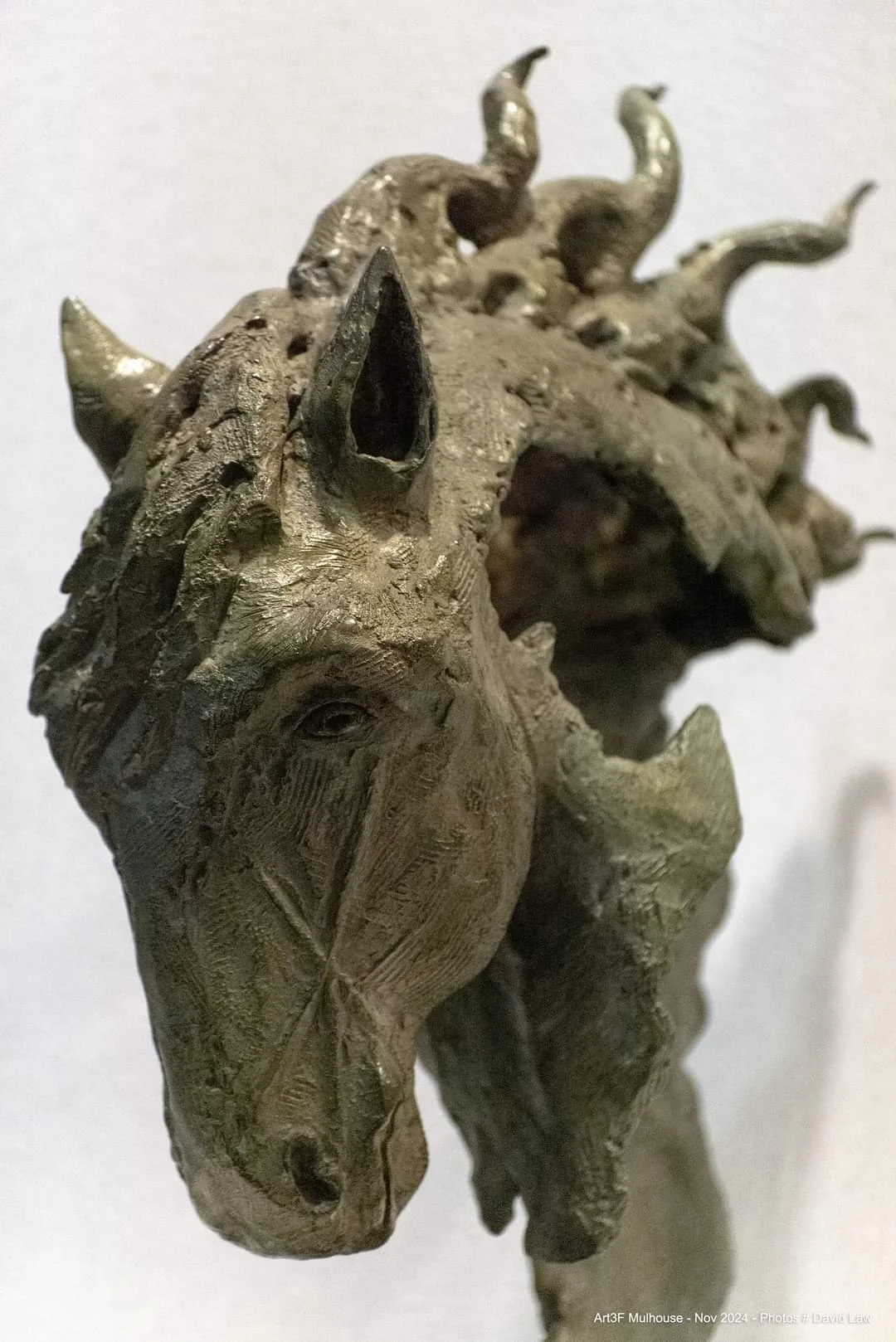 Anne-Christine WELLENSTEIN