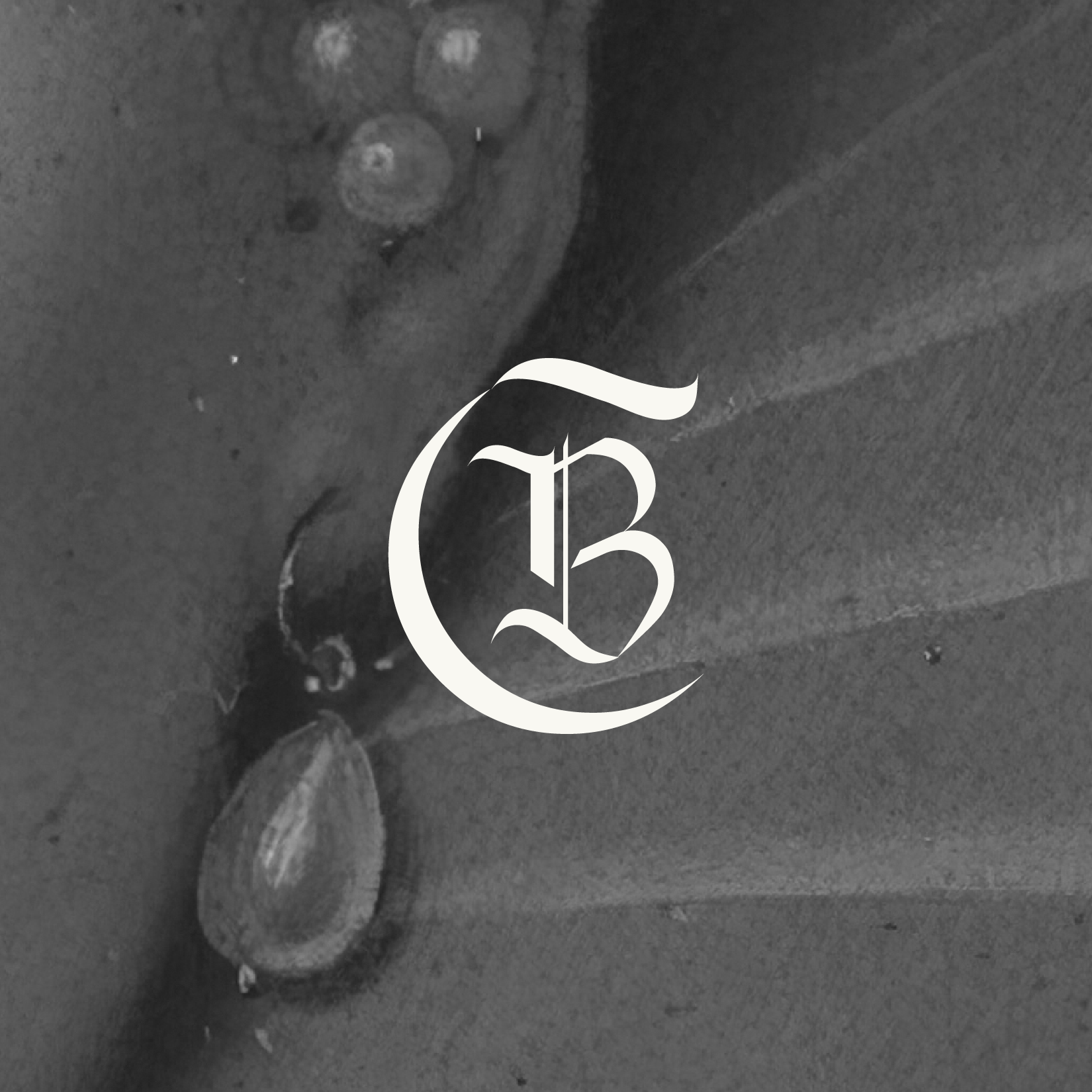 WebsiteGraphics-ClassicalBeauty_POD_230619-05.png