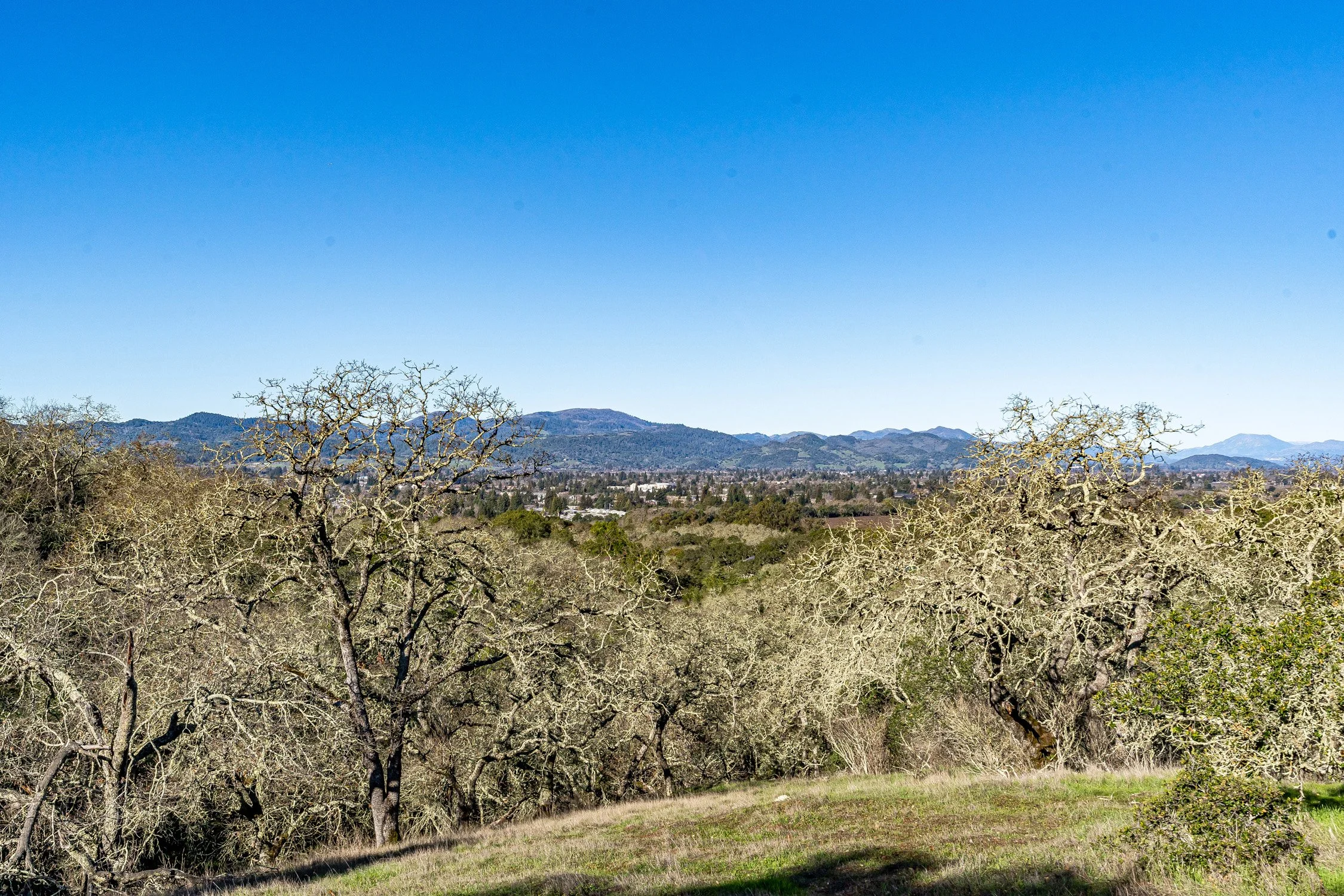 GALLERY — Montecito Heights