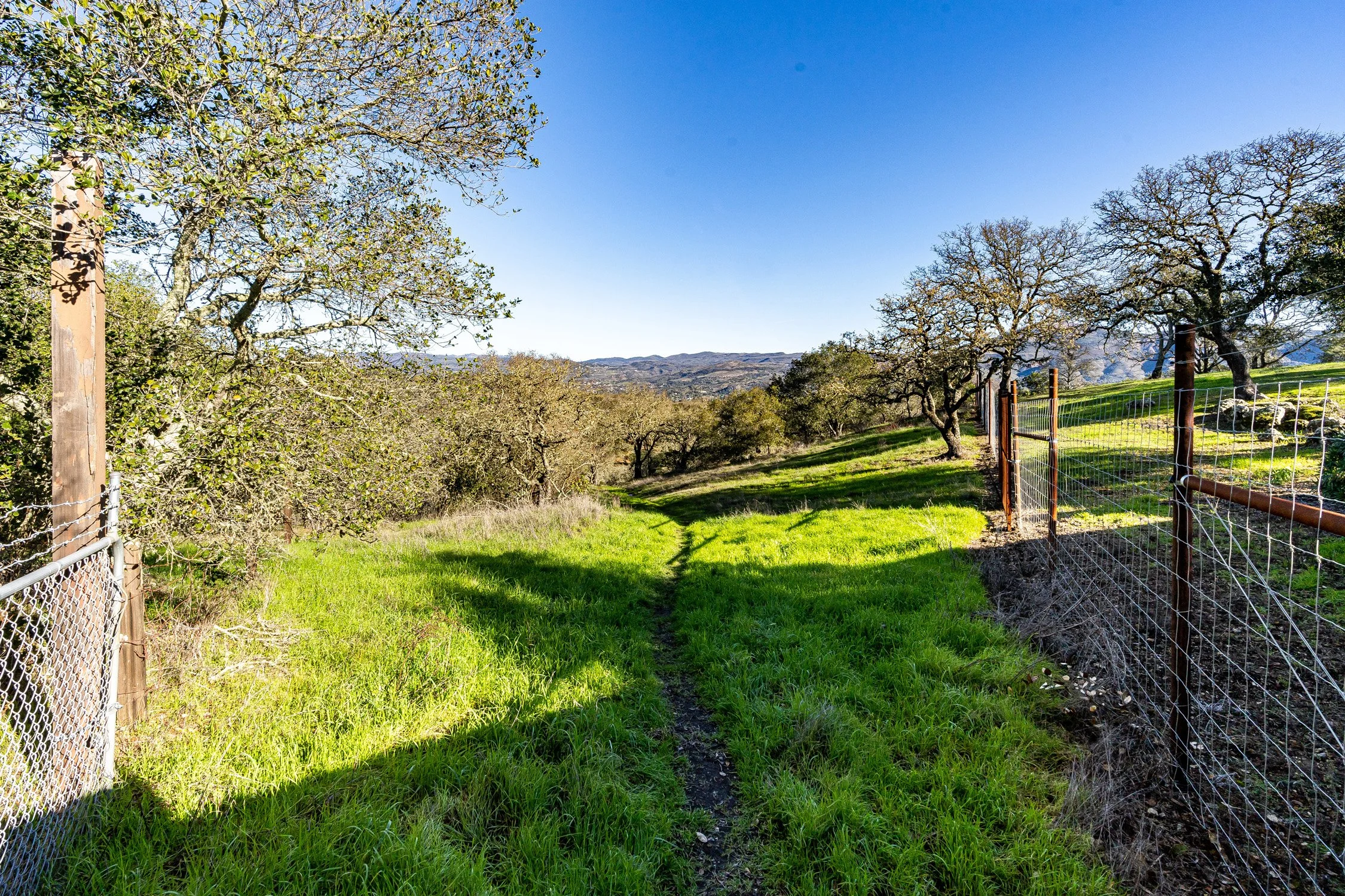 GALLERY — Montecito Heights