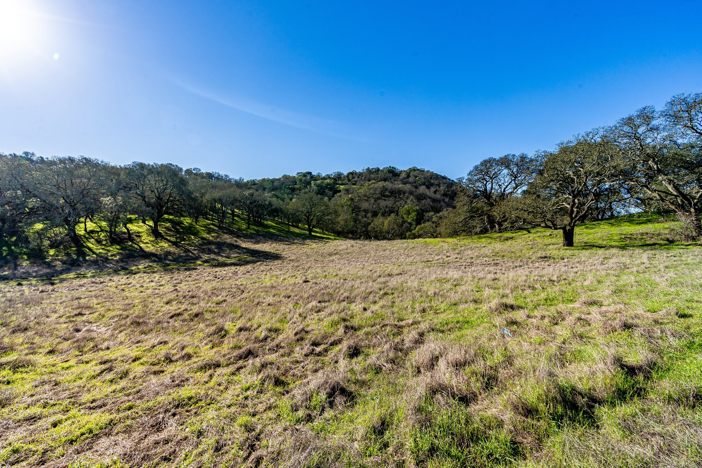 GALLERY — Montecito Heights