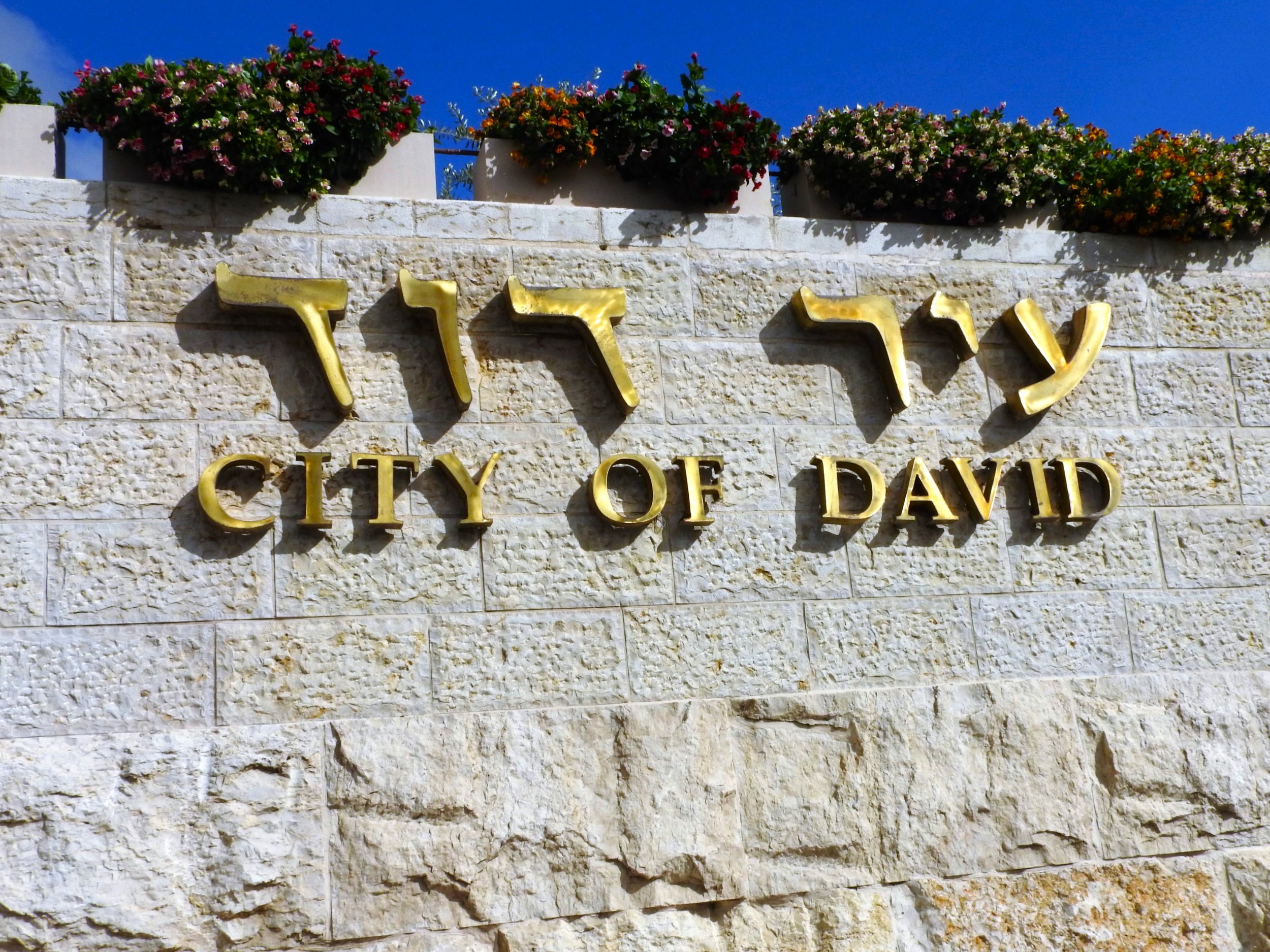 DSCN4266.JPG