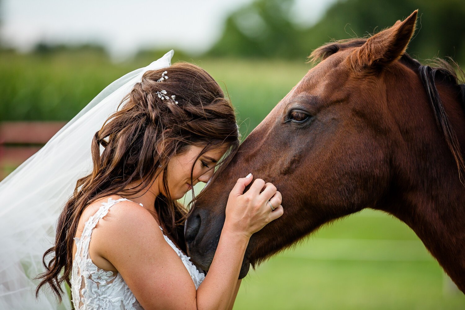 Bride poses with horse on wedding day