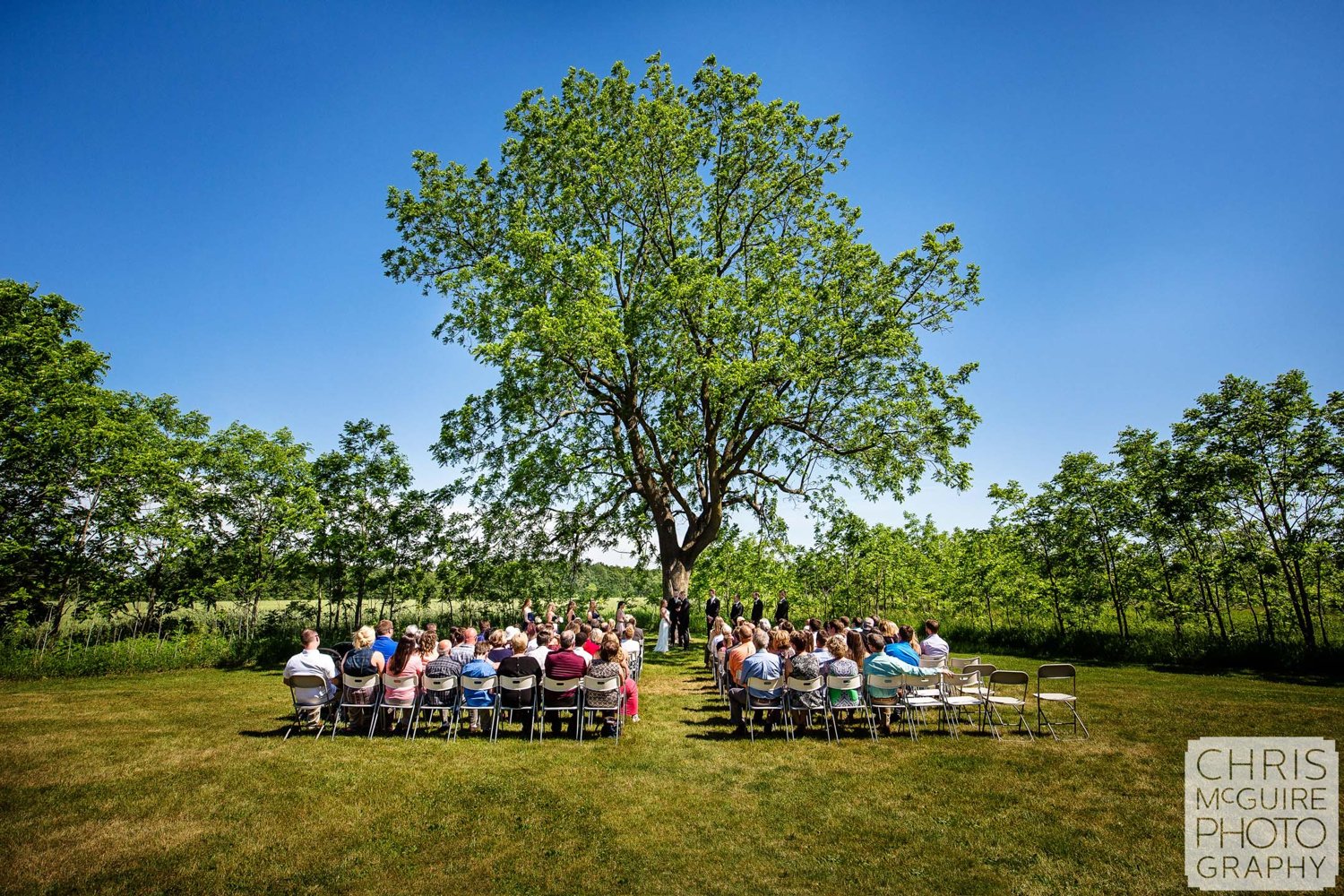 wedding ceremony under large tree