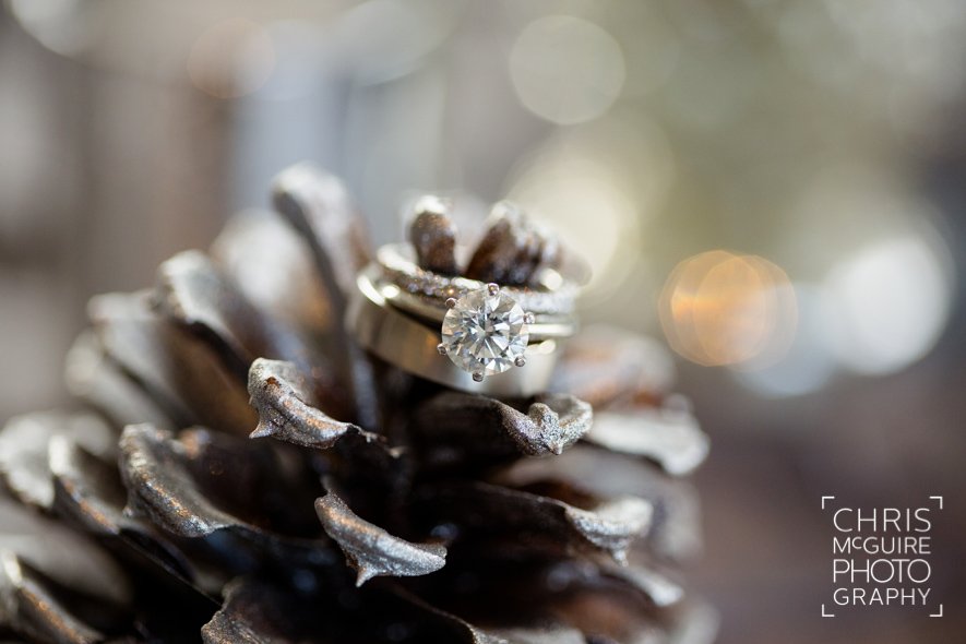 wedding rings on winter pine cone