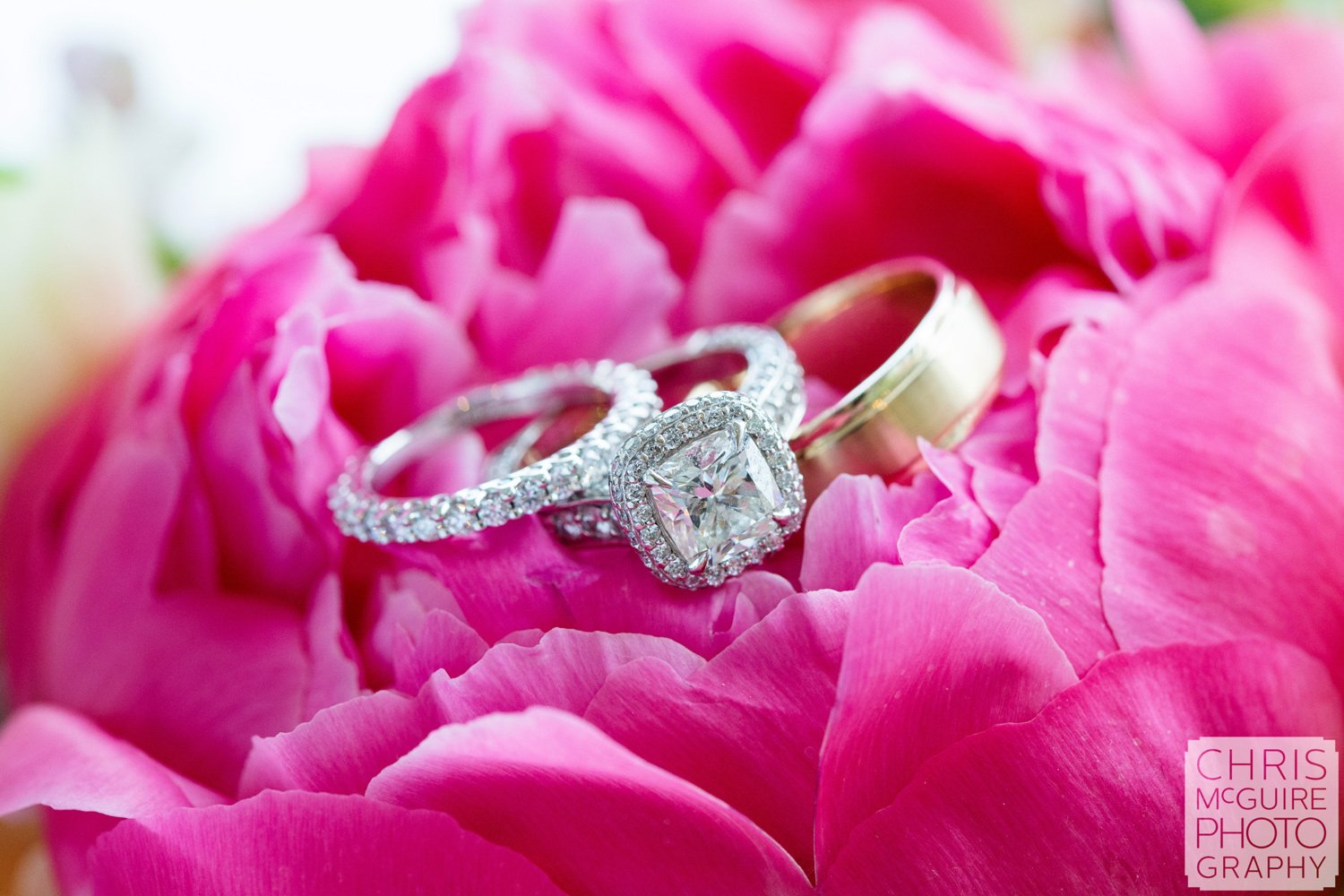 wedding rings on pink flower