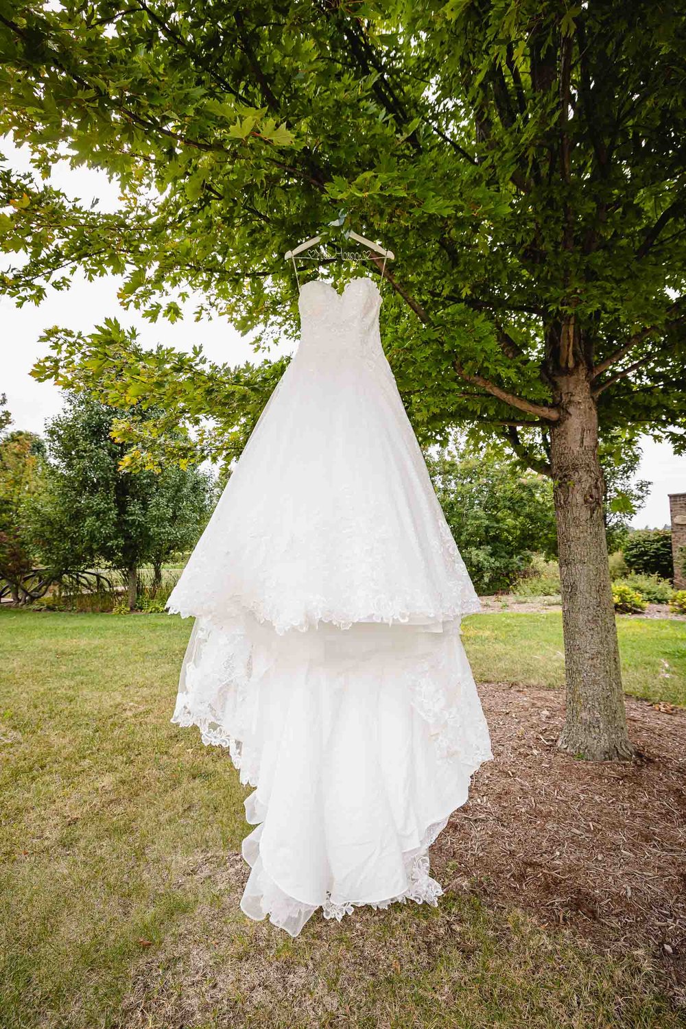 Wedding Dress haging in tree