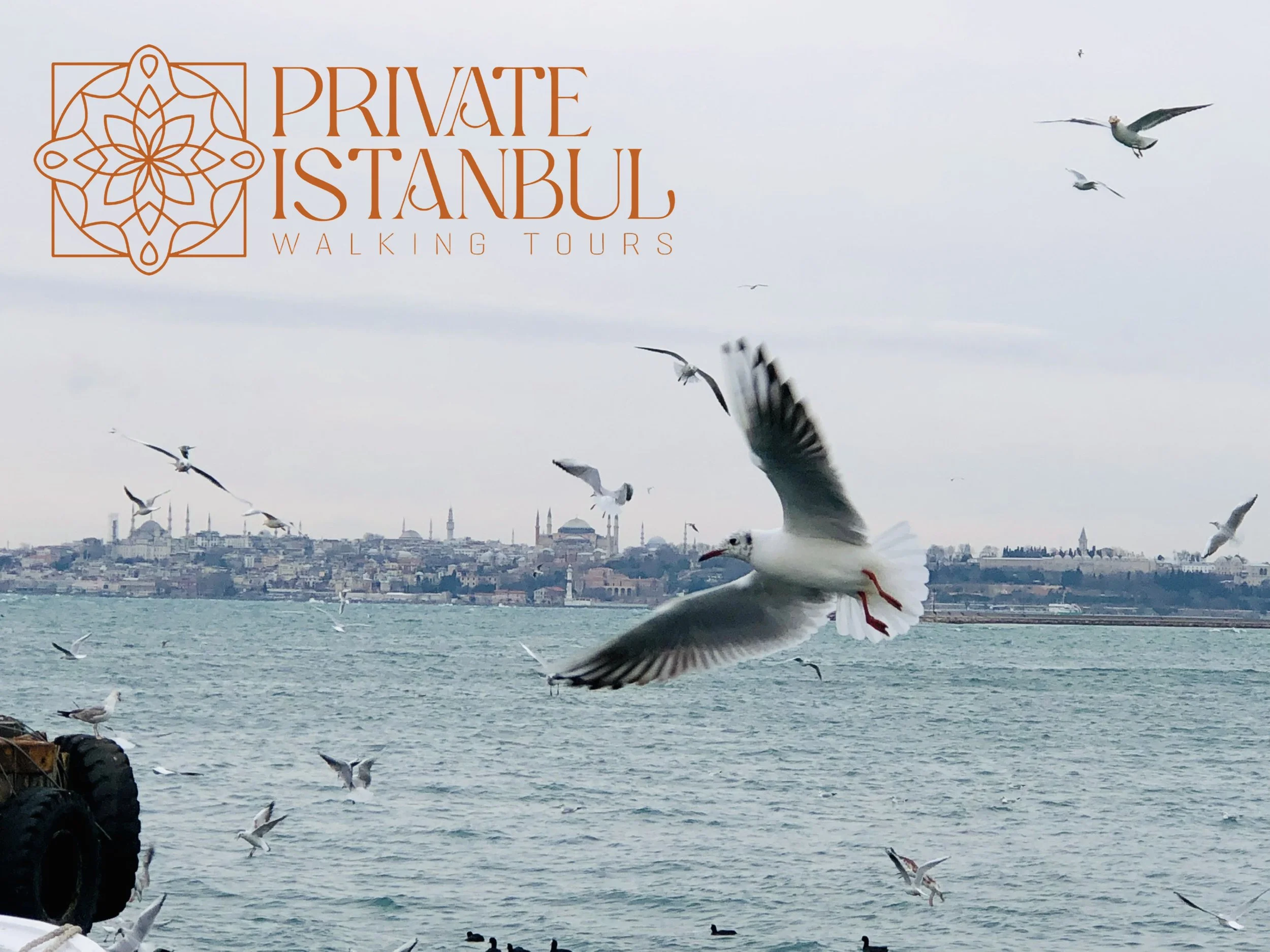 Private Guided Istanbul Tours for US Travelers | Custom, Safe &amp; Flexible