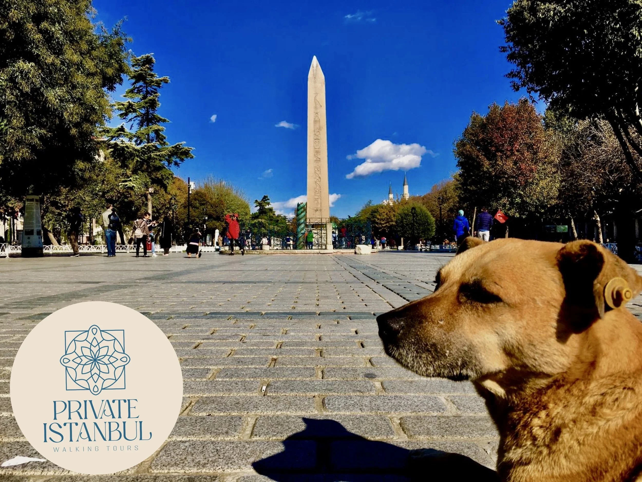 Is Turkey Safe to Visit During the Iran-USA Conflict?