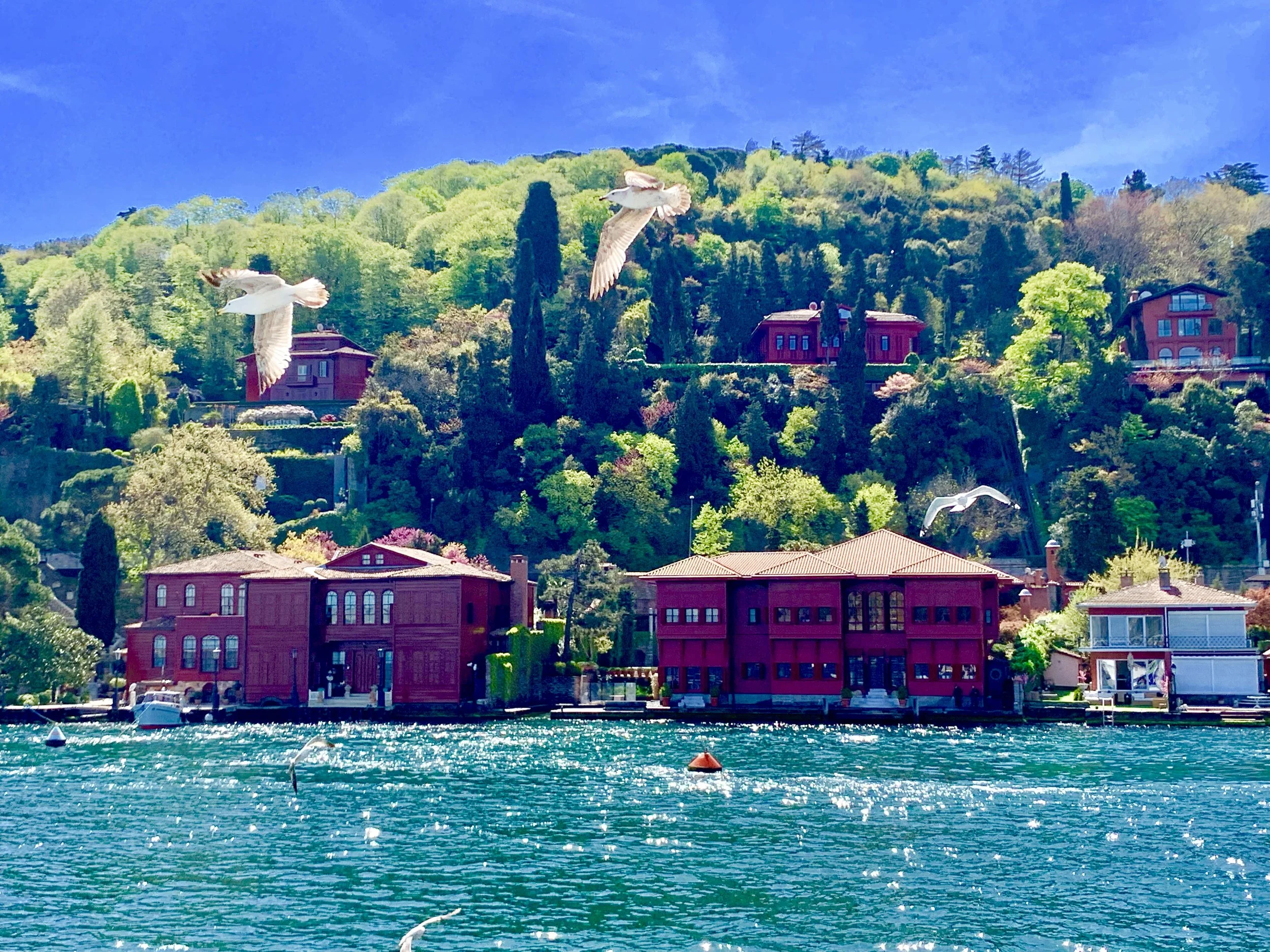 Guided private yacht tour on the Bosphorus Strait, Istanbul