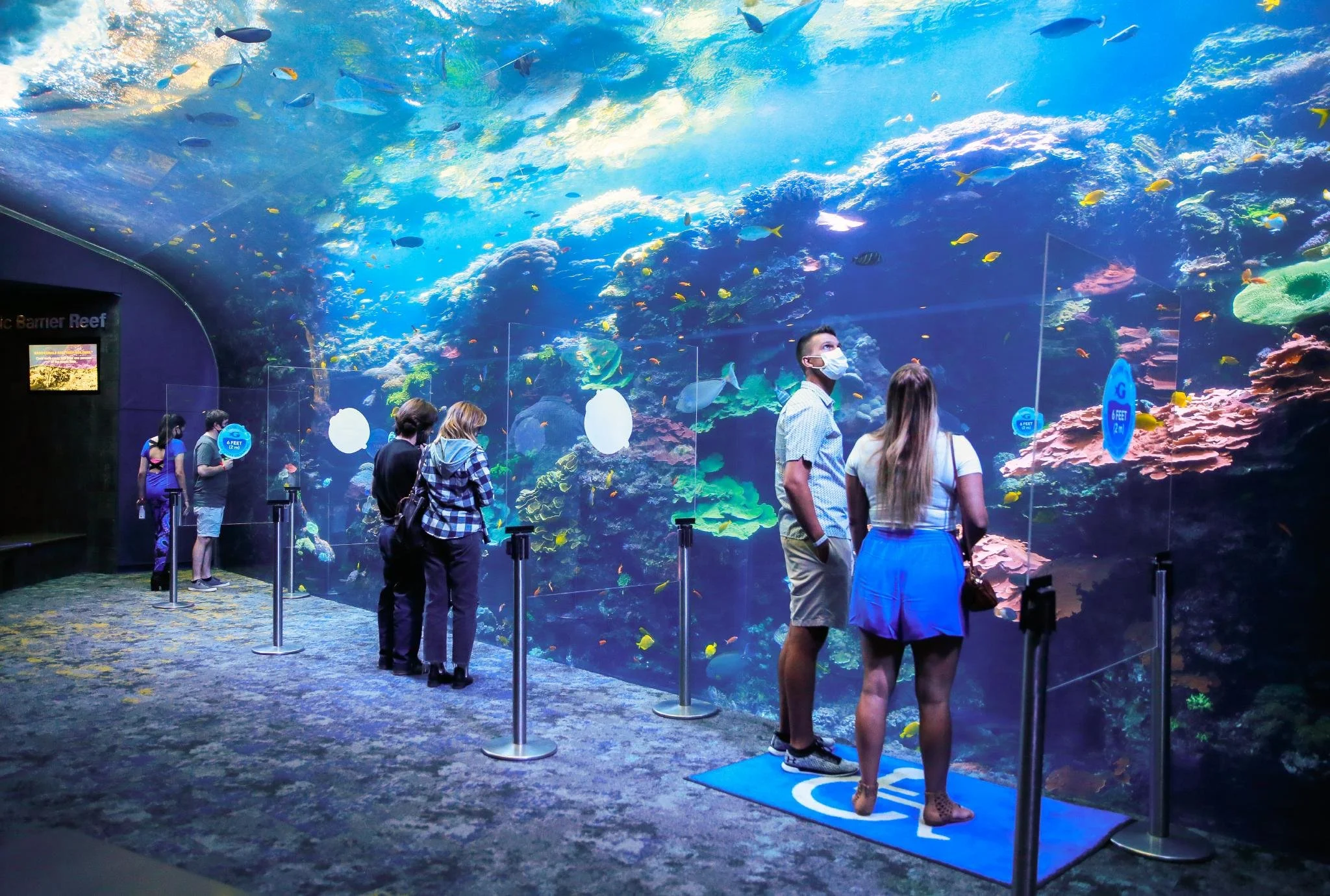 AtlantaGeorgiaAquarium.jpg