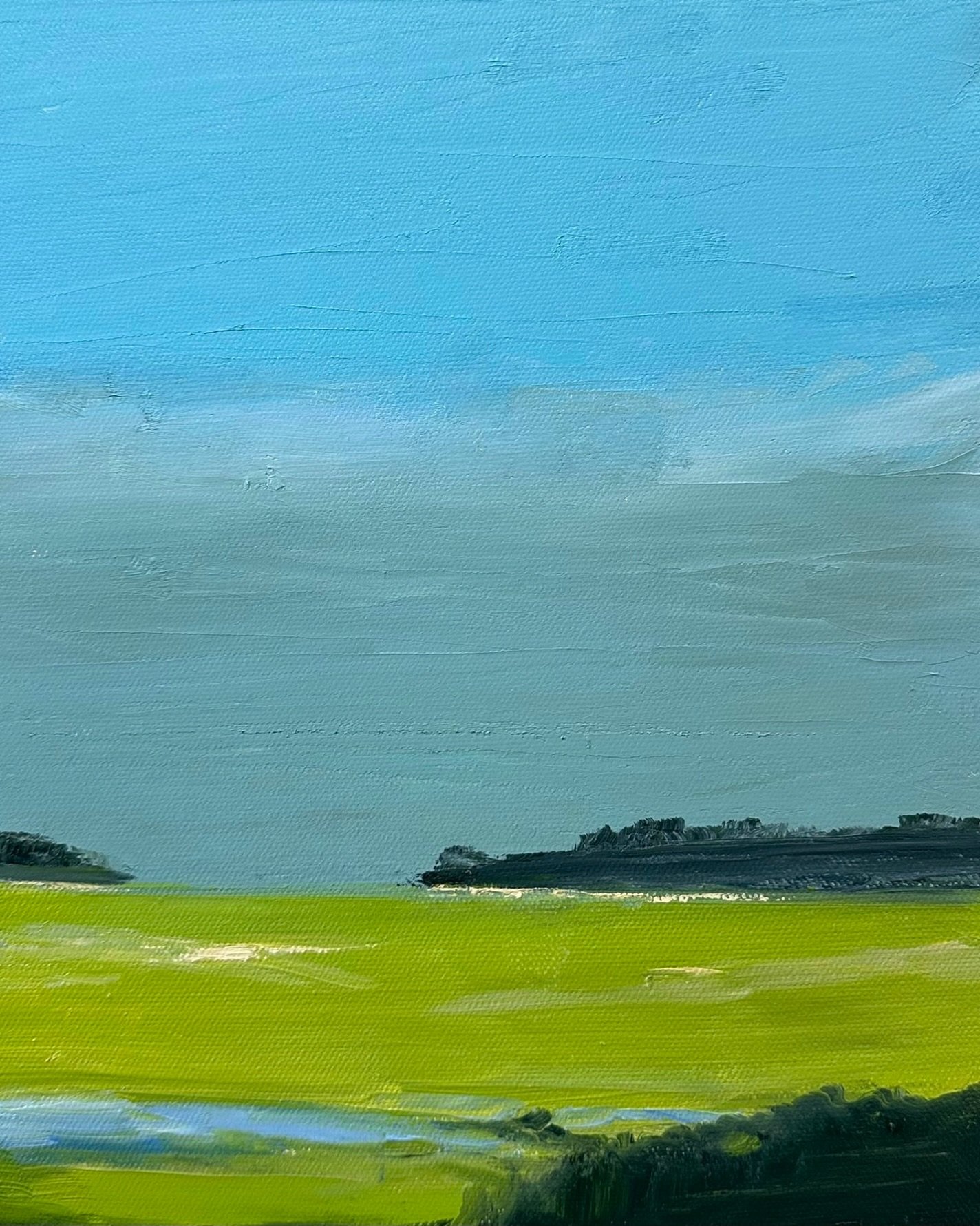 The marshes of Edisto Island, GA coming alive in early spring. New work at The Marshall Muse Gallery. Available for Frist Friday. I&rsquo;ll see there to talk about this &amp; other paintings on my wall.
