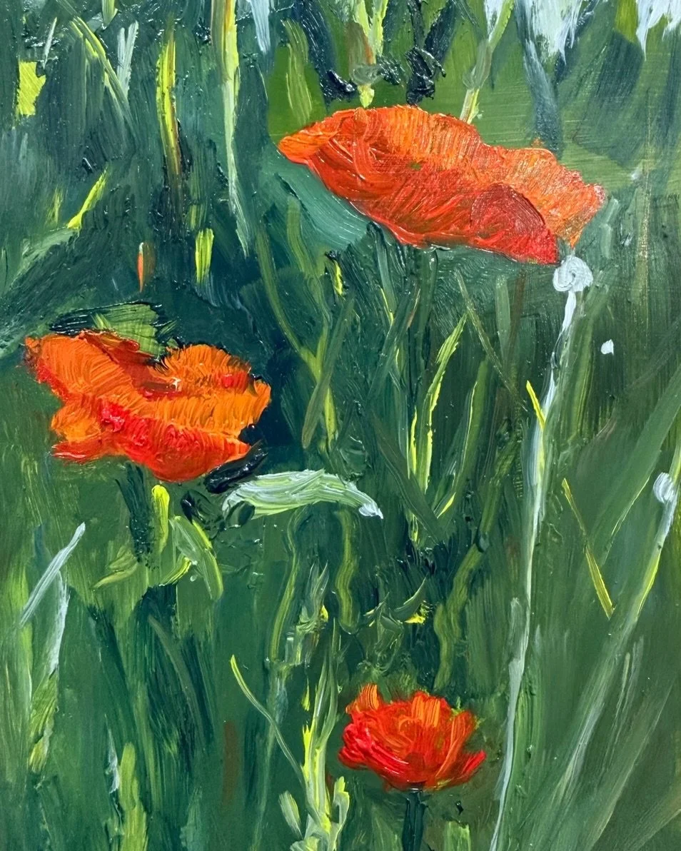 Visited the poppy fields at Dogwood Farms Sunday!! So inspiring.