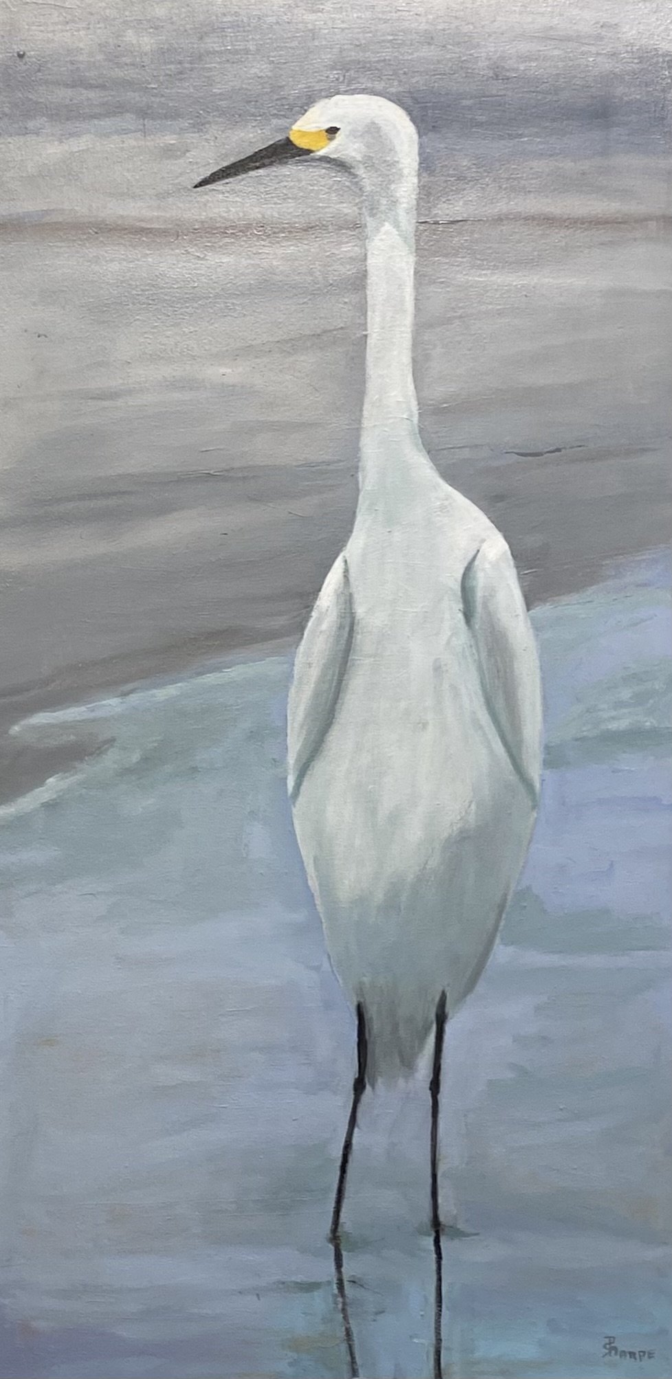 great-white-heron-shore-edge-oil-framed-phyllis-sharpe-IMG_7530 2.jpeg