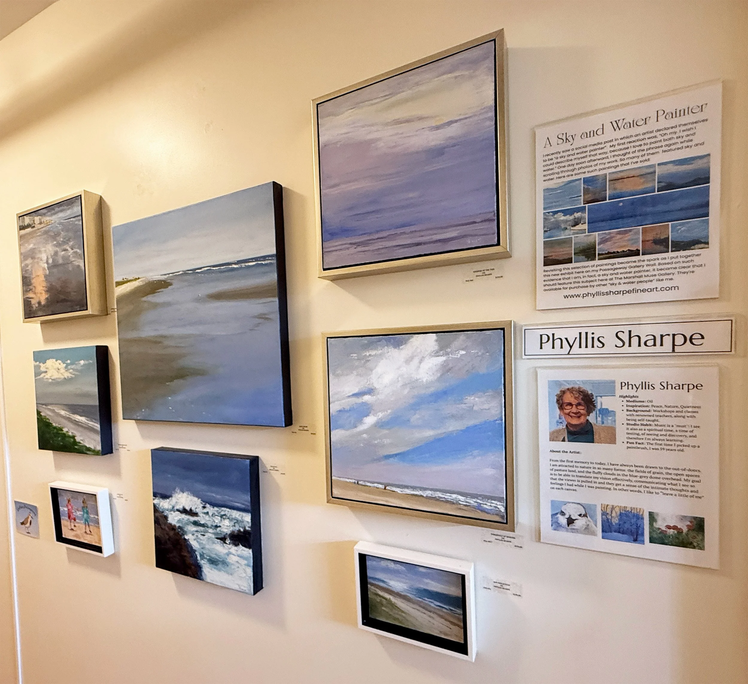 Display of paintings that feature bold, expansive skies and water. Flyers mounted to the right include notes about the artist, Phyllis Sharpe, and her love of painting sky and water scenes.