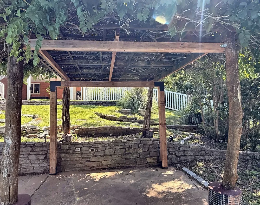 Looking up under the arbor at the new cedar beams supporting the old gray top frame and vine canopy