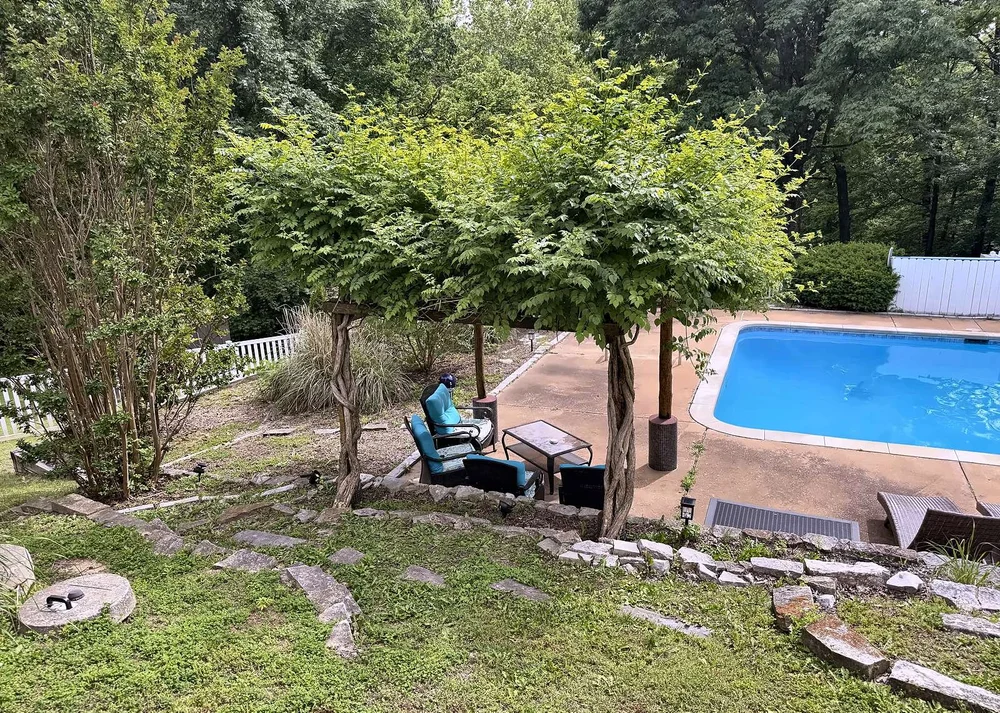 Overhead view of a vine-covered poolside arbor before reinforcement, held up only by old weathered round posts and twisted vine trunks