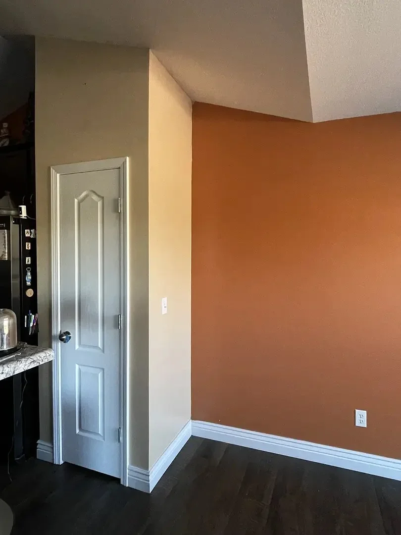 A small pantry door next to an orange accent wall in a kitchen with dark wood flooring