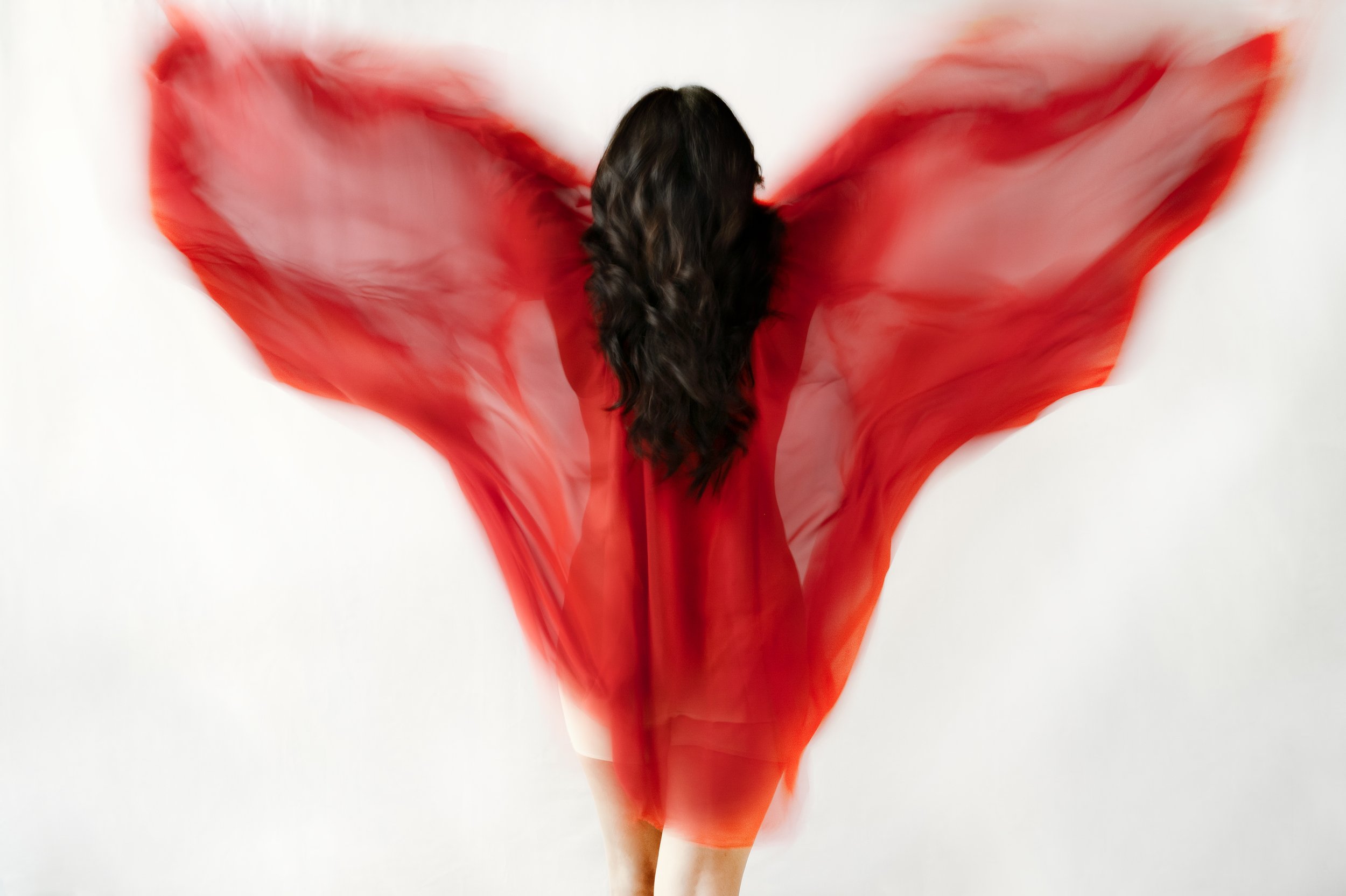 mariposa de fuego.jpg