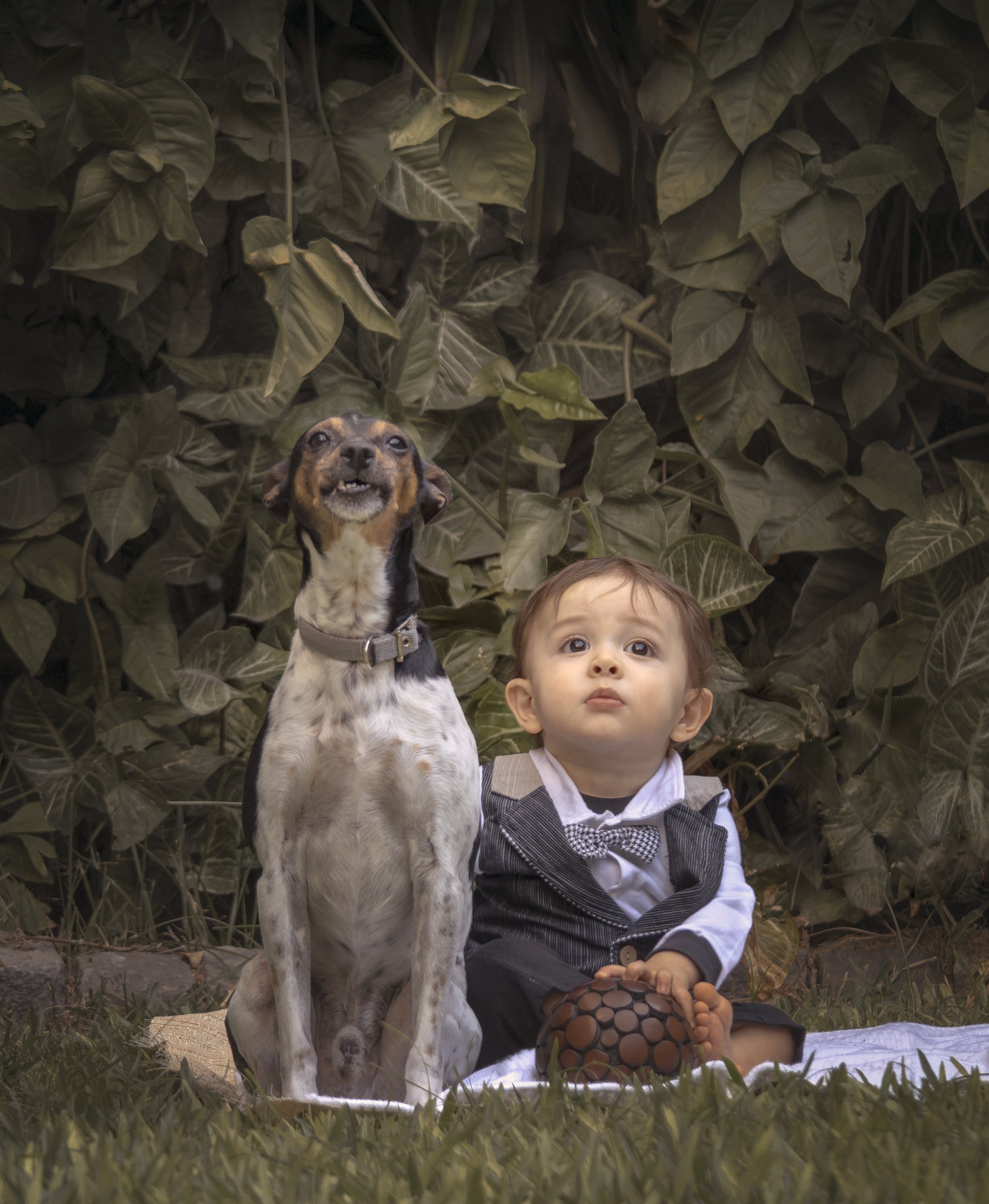 galu y frodo-2-1.jpg