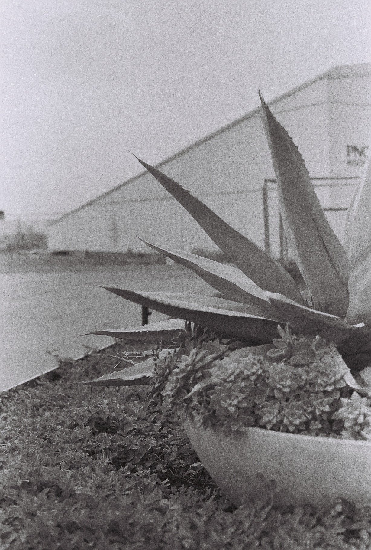 F1000032.jpg