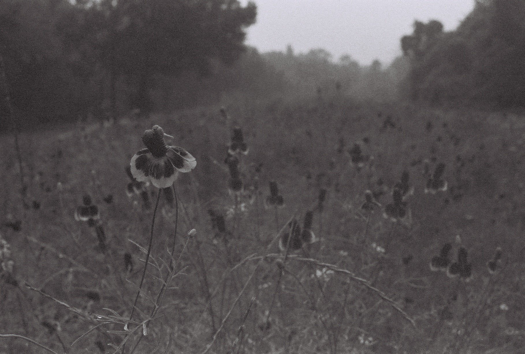 F1000018.jpg