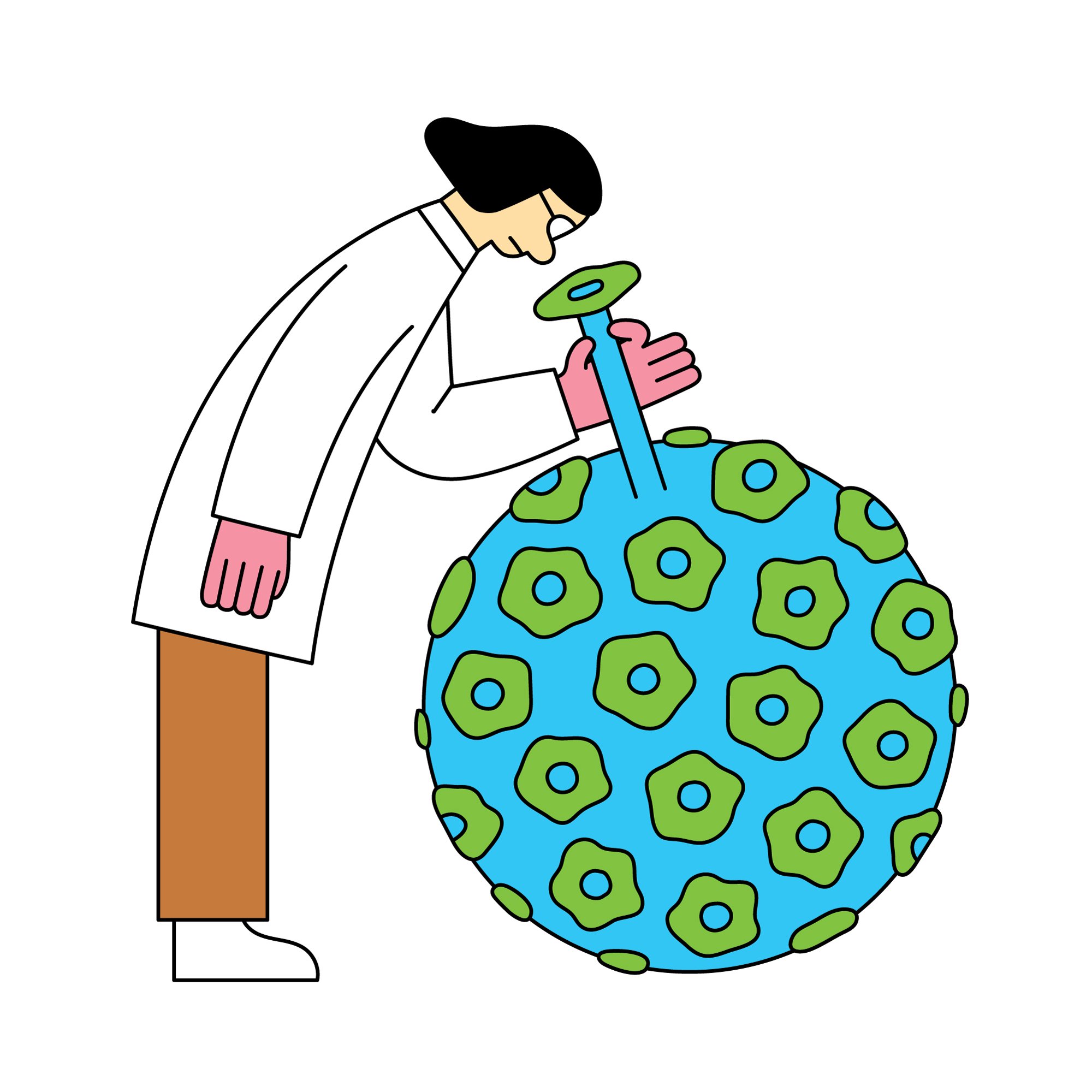 Biology illustration. Raúl Soria is a Spanish illustrator. His work is digital, vector-based and warm-hearted.