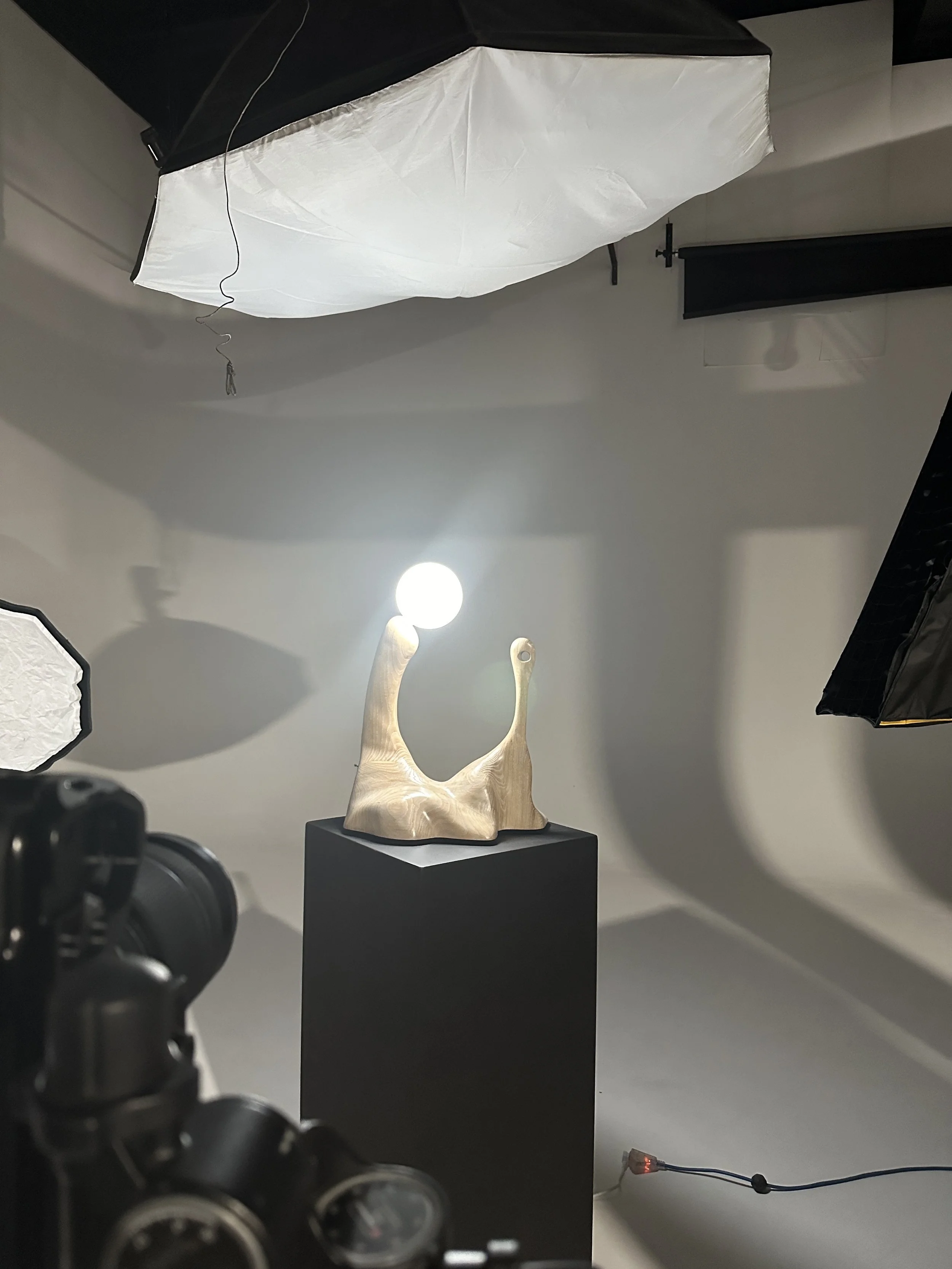Photograph of a wooden deer head sculpture displayed on a black pedestal, with photography studio equipment, including softbox lights and a black backdrop, in the background.