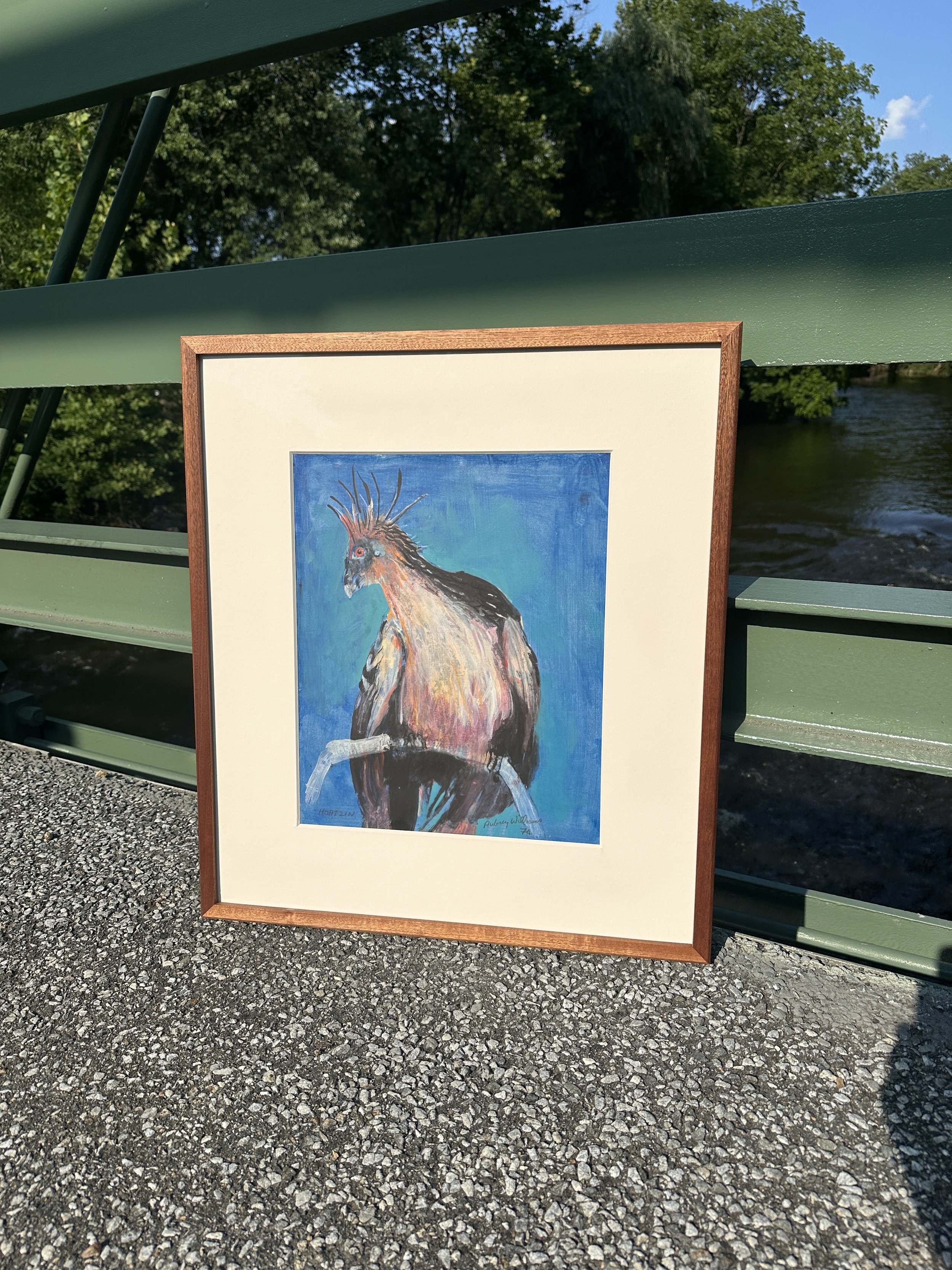 A framed painting of a colorful rooster in beautiful hand oil sapele frame on an outdoor green bench beside a river, with trees and blue sky in the background.