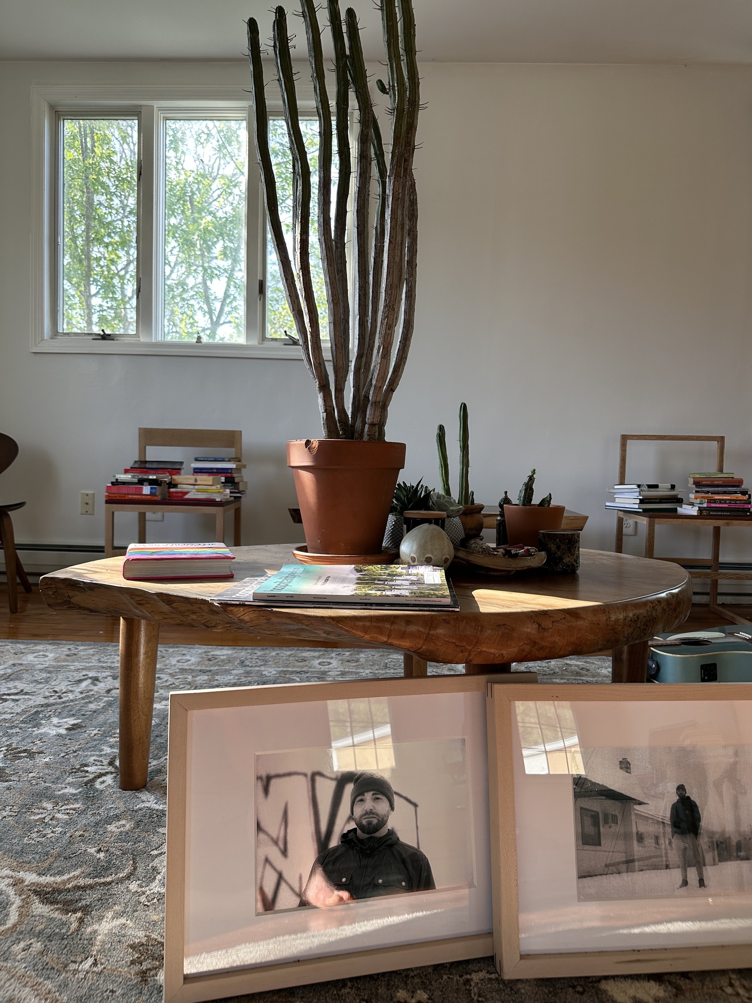 Interior of a room with a large cactus plant in a terracotta pot on a wooden table, with other smaller potted cacti, stacked books, and framed photographs. A window with green trees outside is in the background, and two wooden chairs with stacks of b
