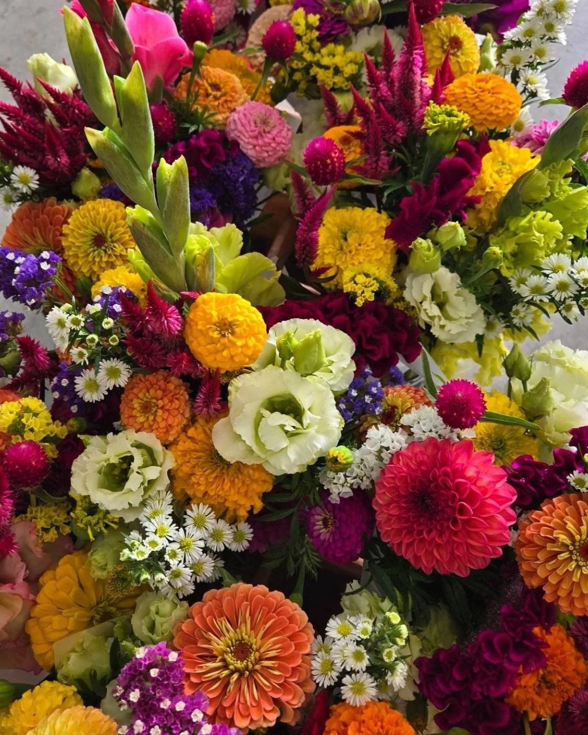 Full Season 5 Month Subscription Delivered (May-September)