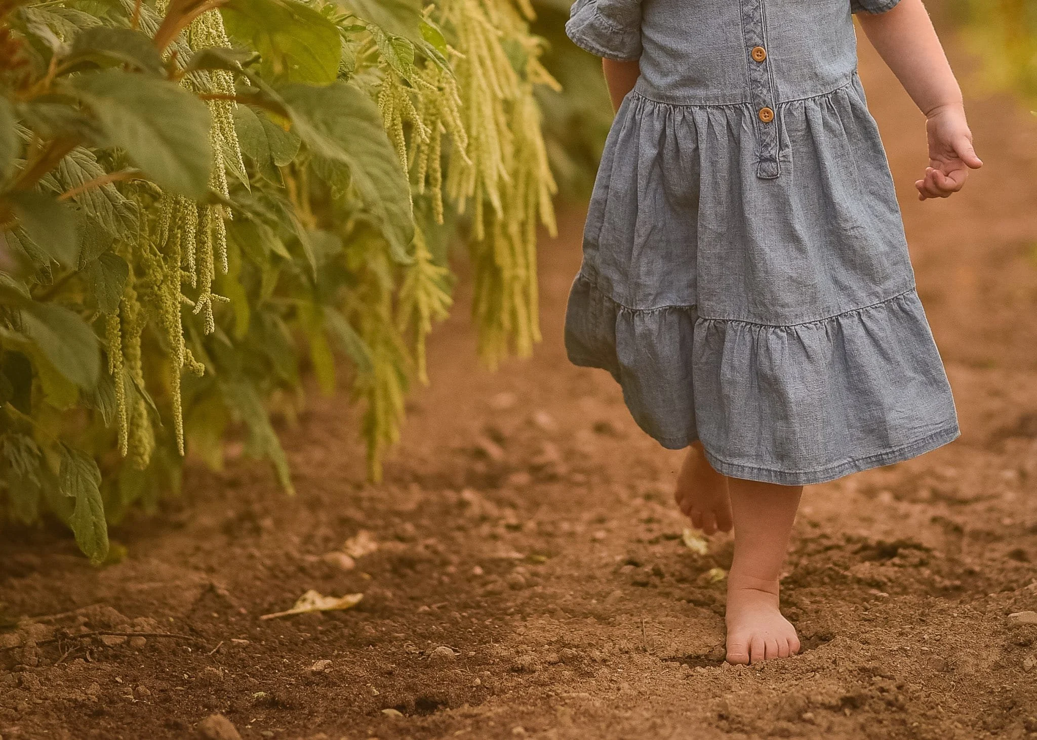 walkinh in garden.jpg