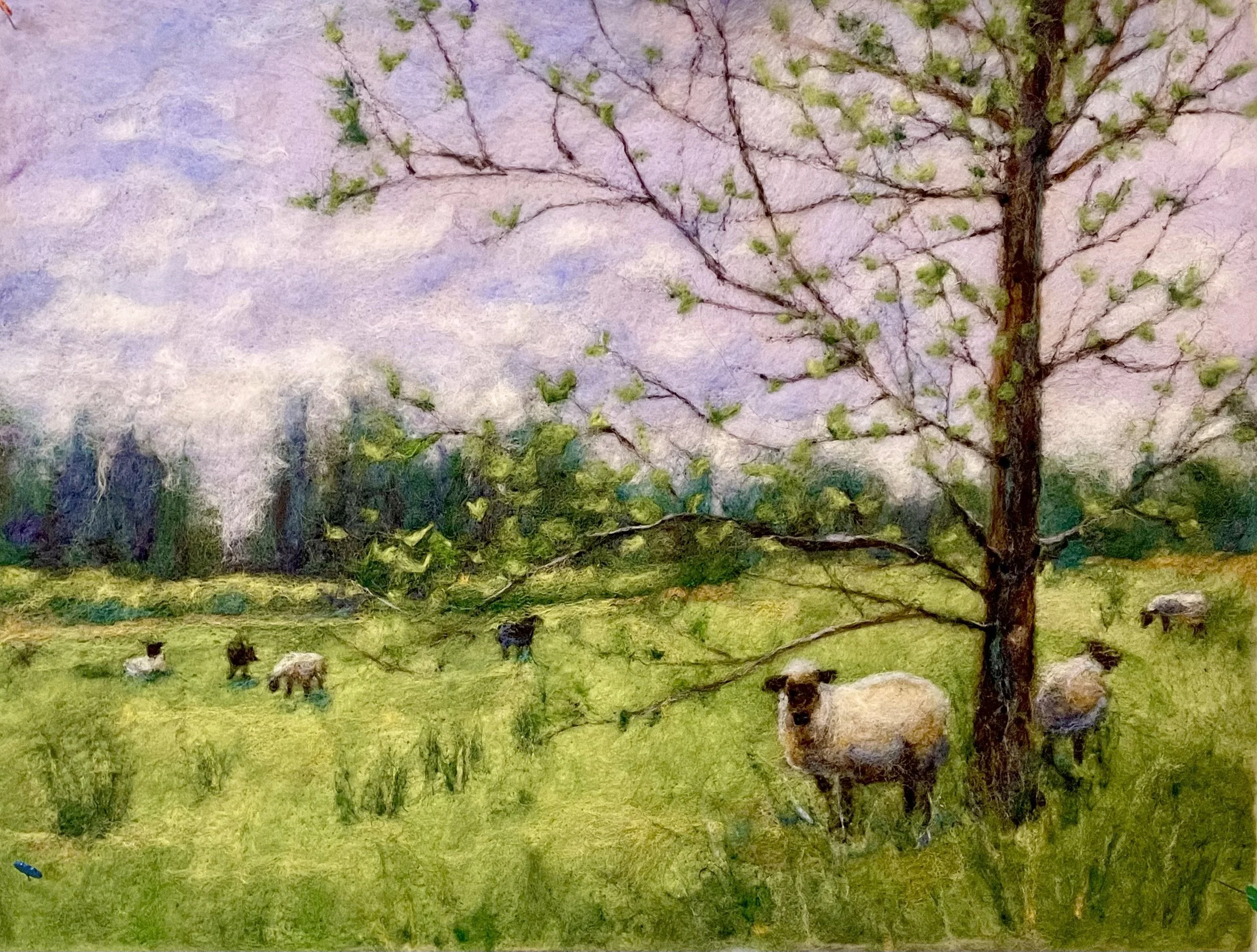 crow valley sheep.jpg