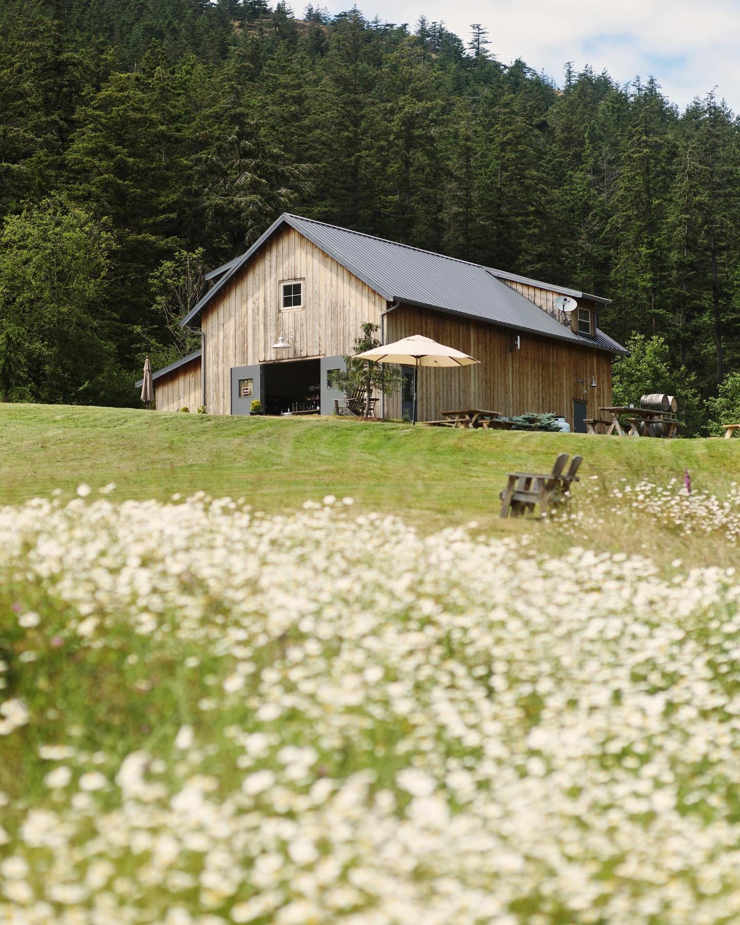 orcas-island-winery.jpg