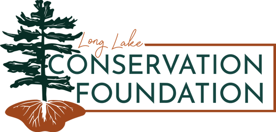 LLCF Logo 2021 by DWC.png