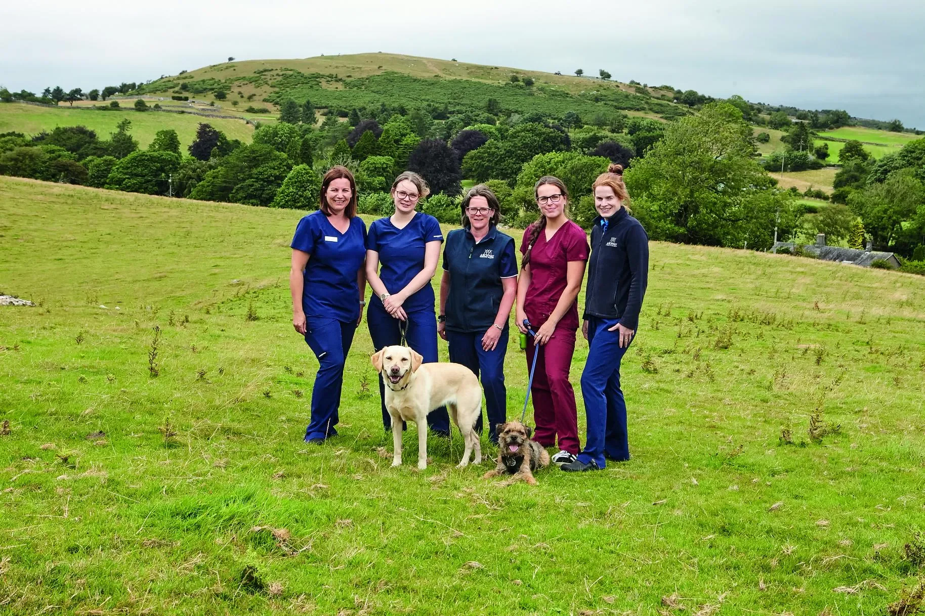 Archway Vets team with dogs